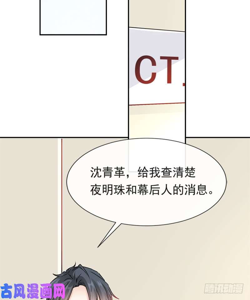 霸道总裁轻点爱013 闷葫芦开花了