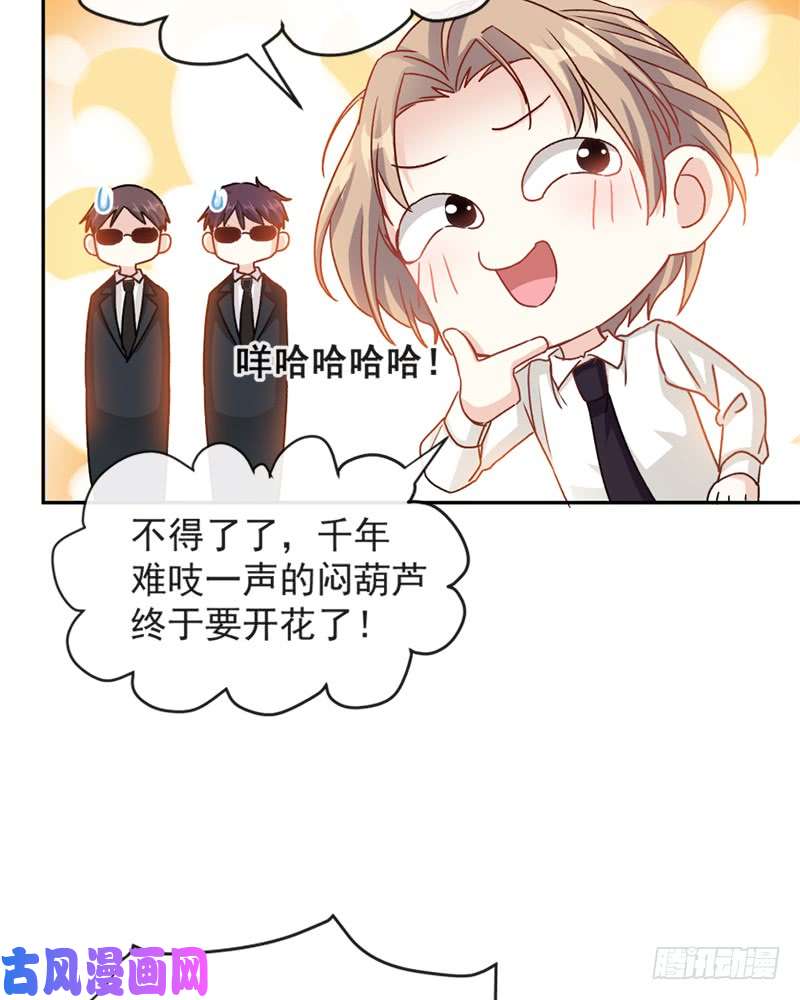 霸道总裁轻点爱013 闷葫芦开花了