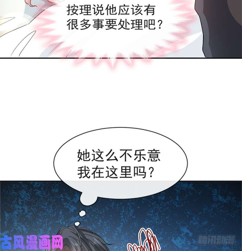 霸道总裁轻点爱013 闷葫芦开花了