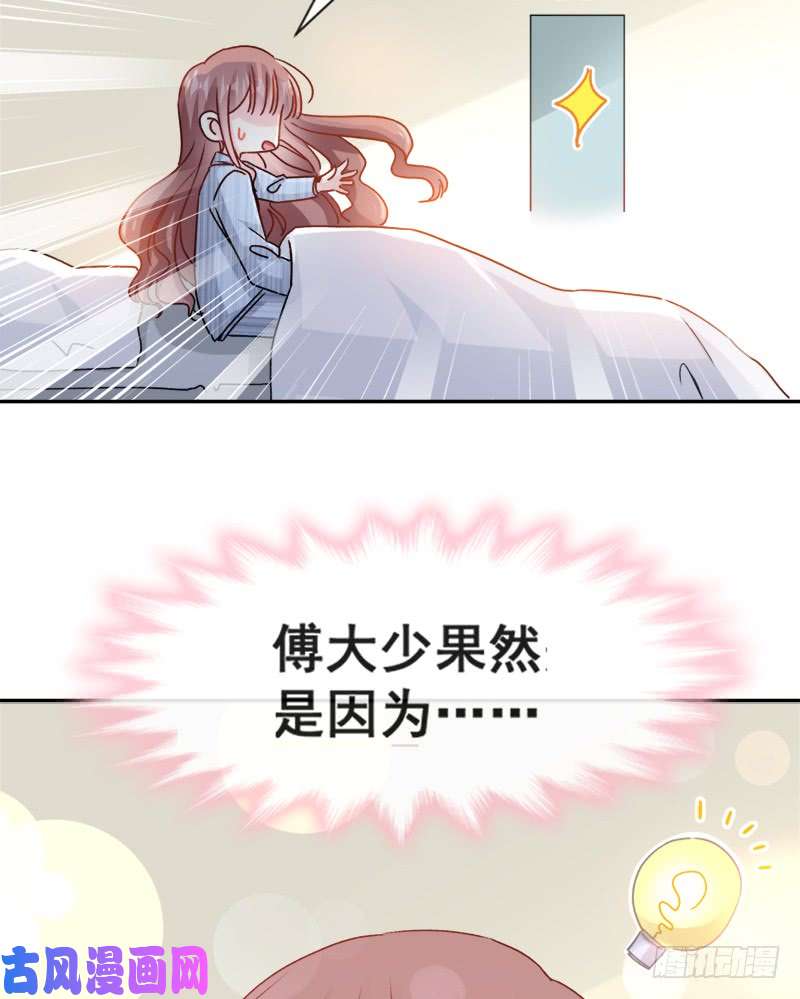 霸道总裁轻点爱013 闷葫芦开花了