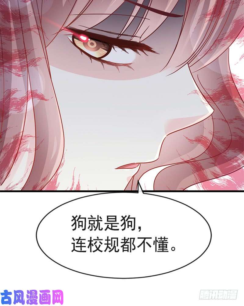 霸道总裁轻点爱024 学校风云