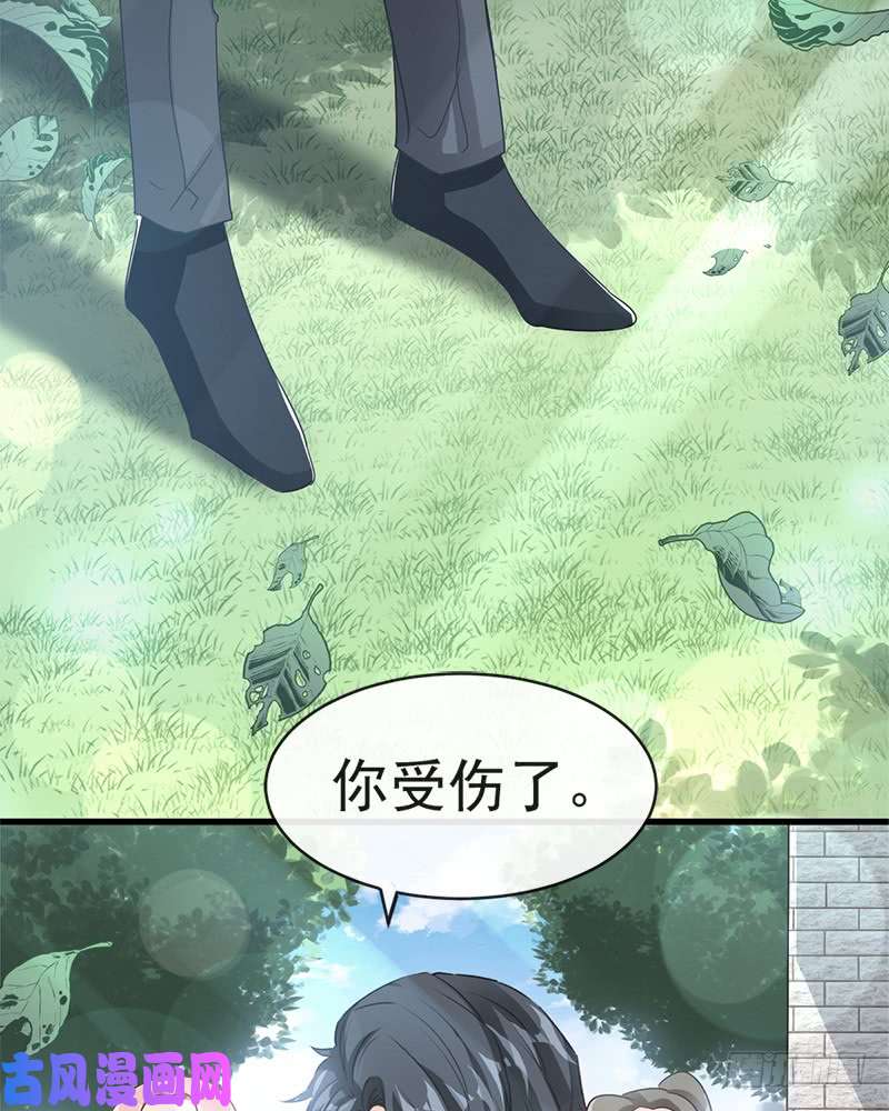 霸道总裁轻点爱025 他不是普通人