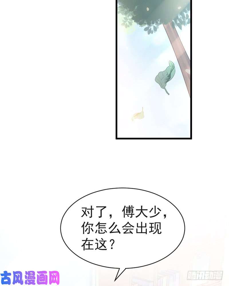 霸道总裁轻点爱026 不要摸那里