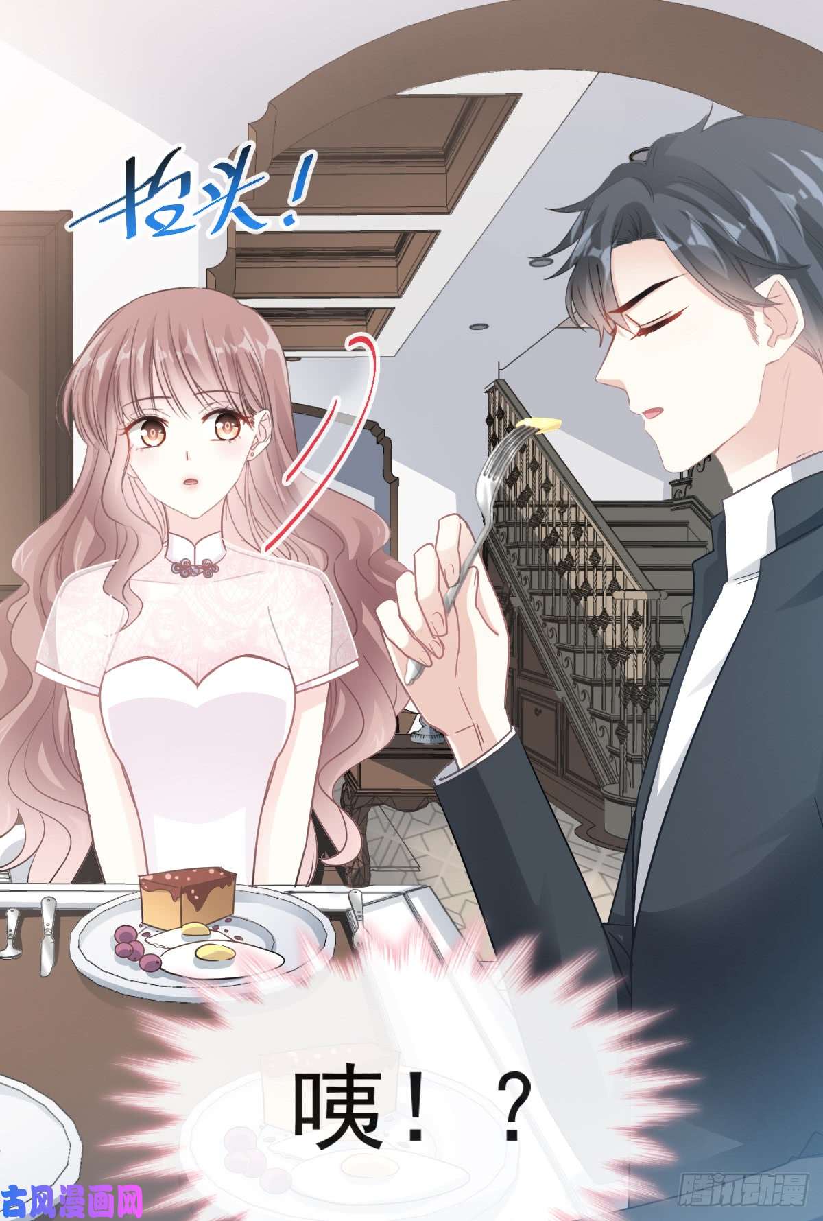 霸道总裁轻点爱039 拜见婆婆大人