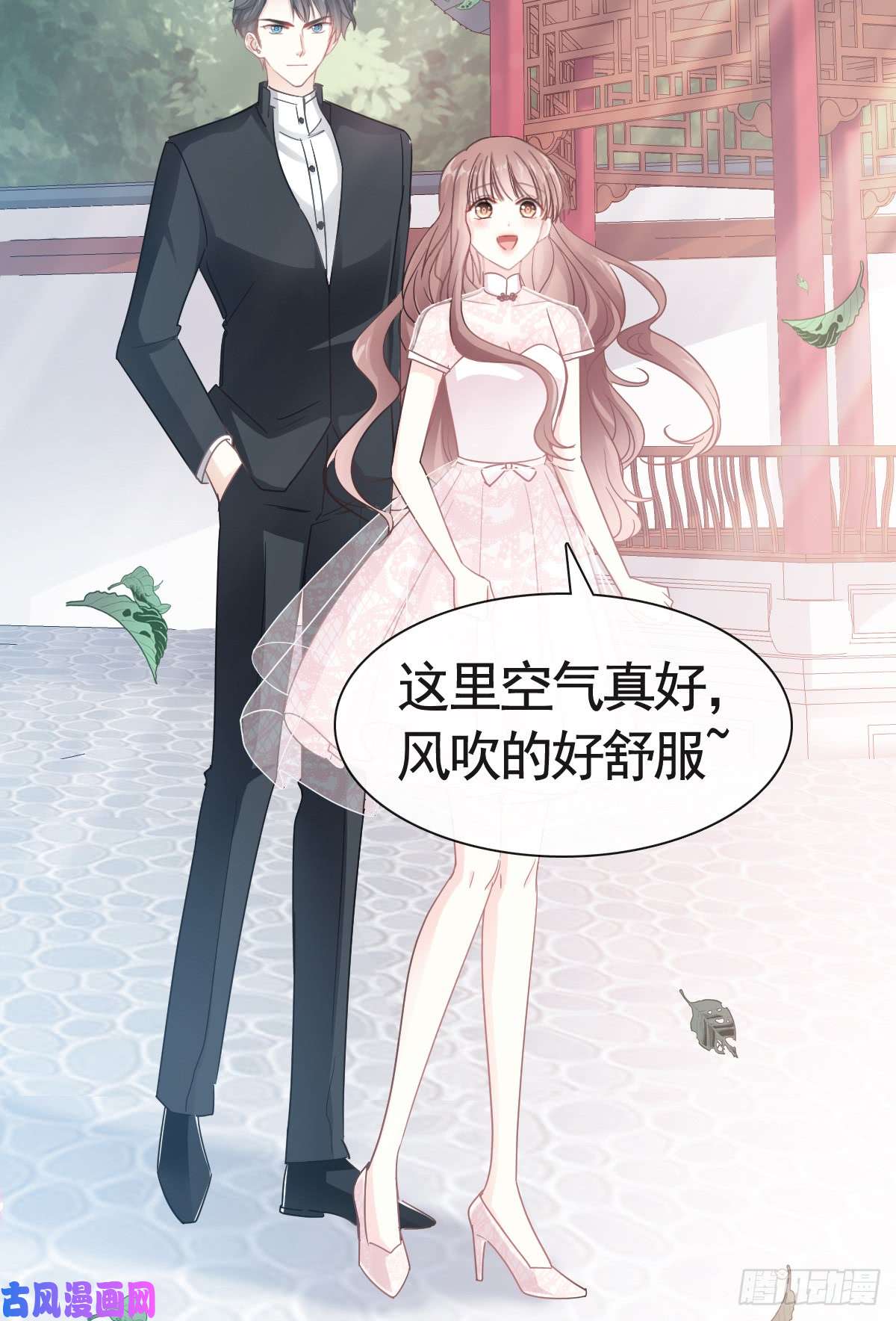 霸道总裁轻点爱039 拜见婆婆大人