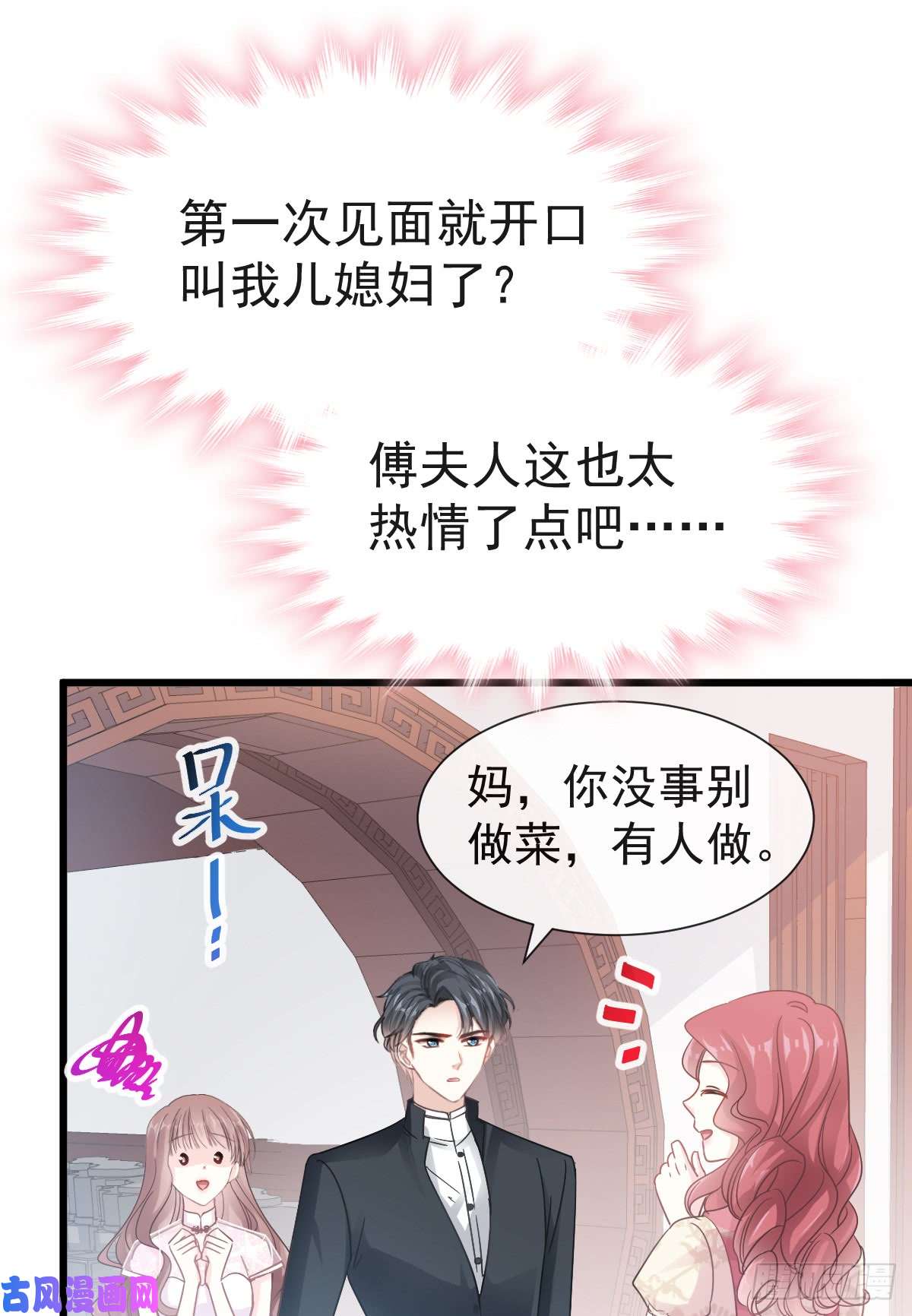 霸道总裁轻点爱039 拜见婆婆大人