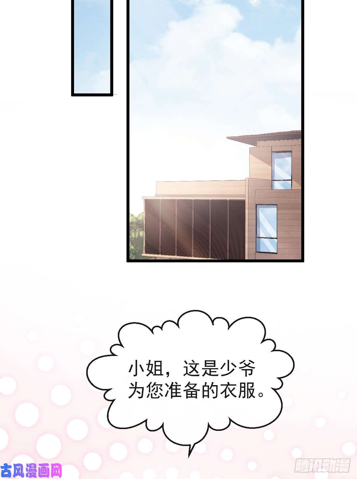霸道总裁轻点爱039 拜见婆婆大人