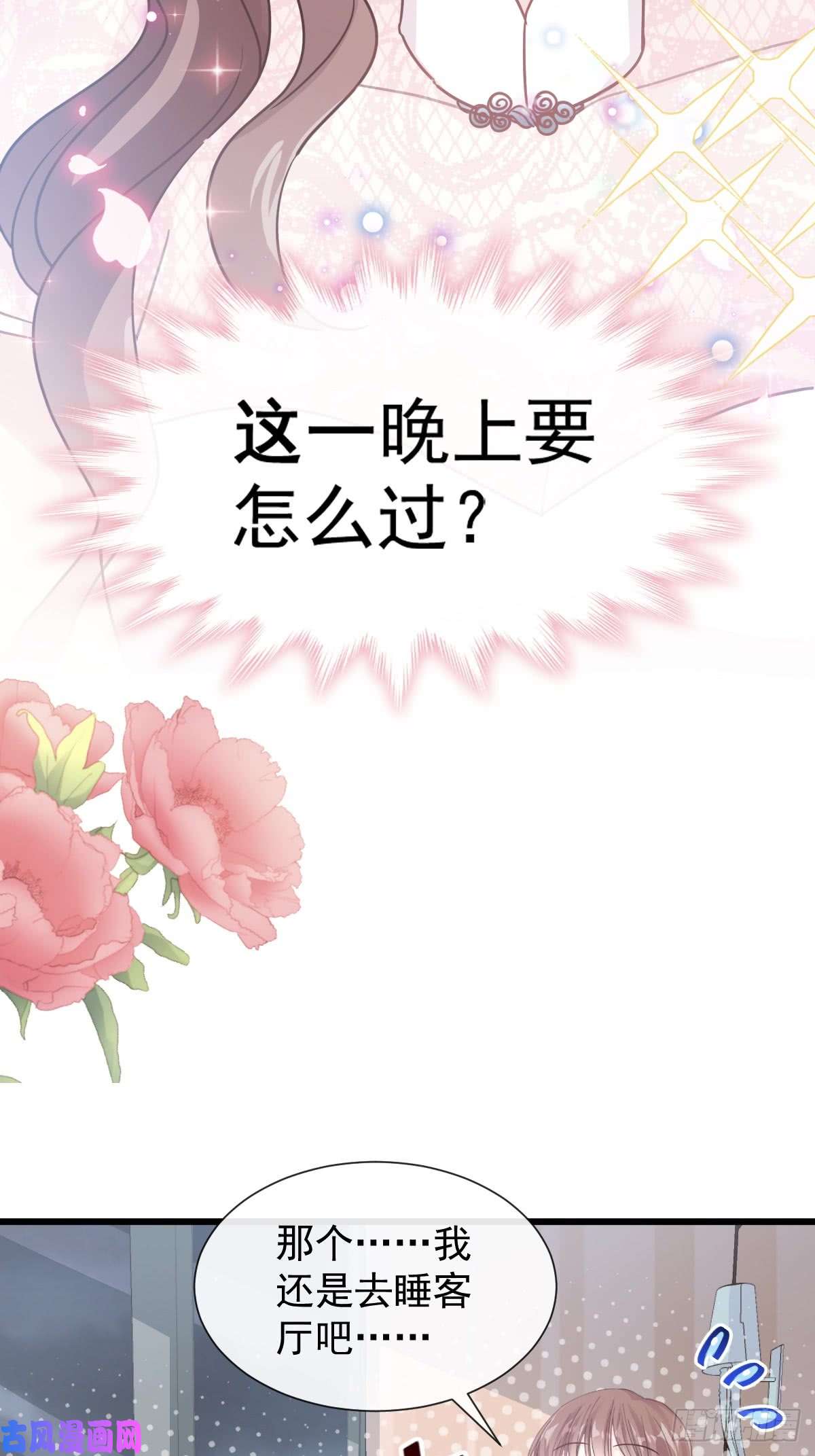 霸道总裁轻点爱048 床上运动