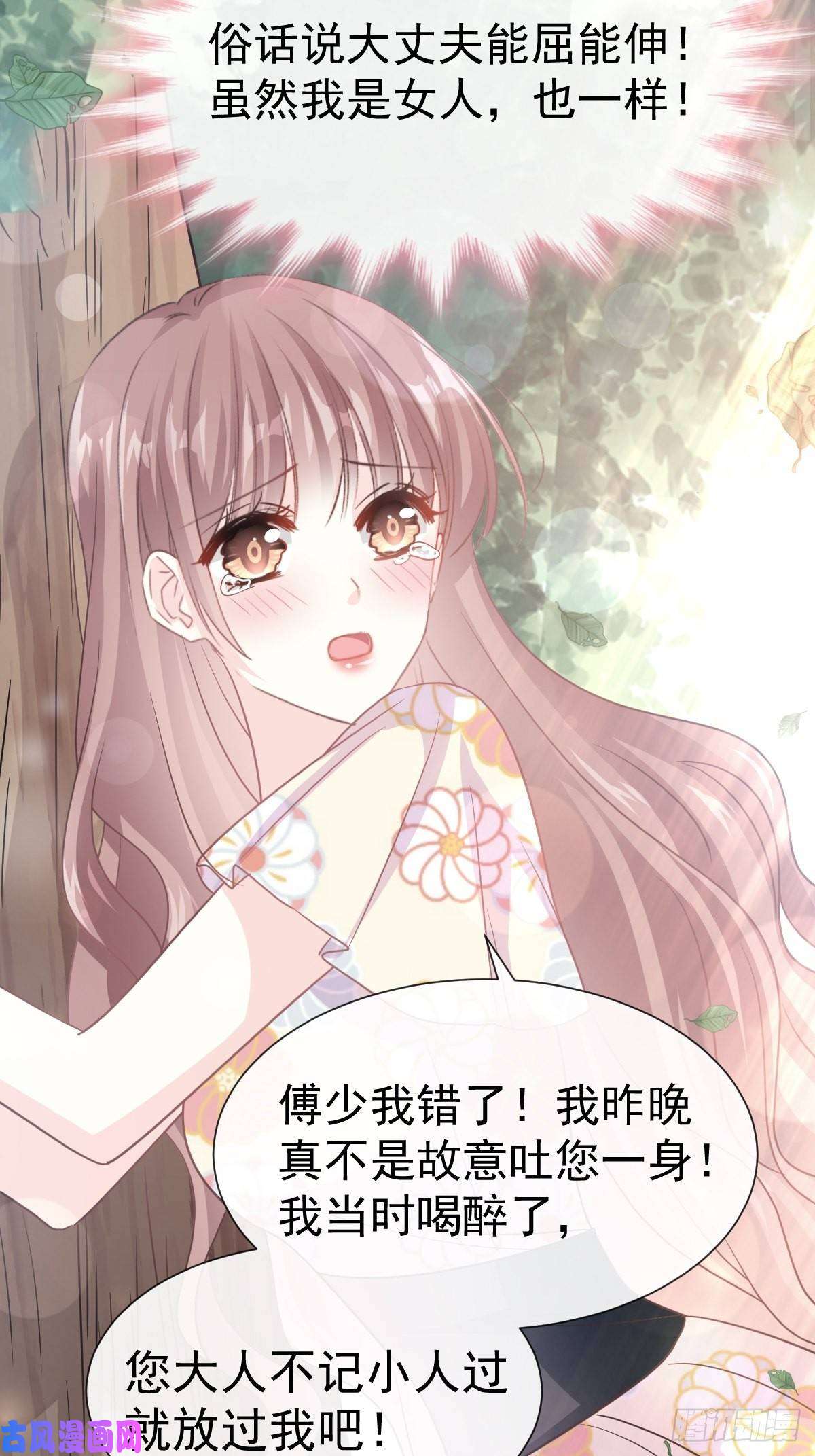 霸道总裁轻点爱057 霸总的告白