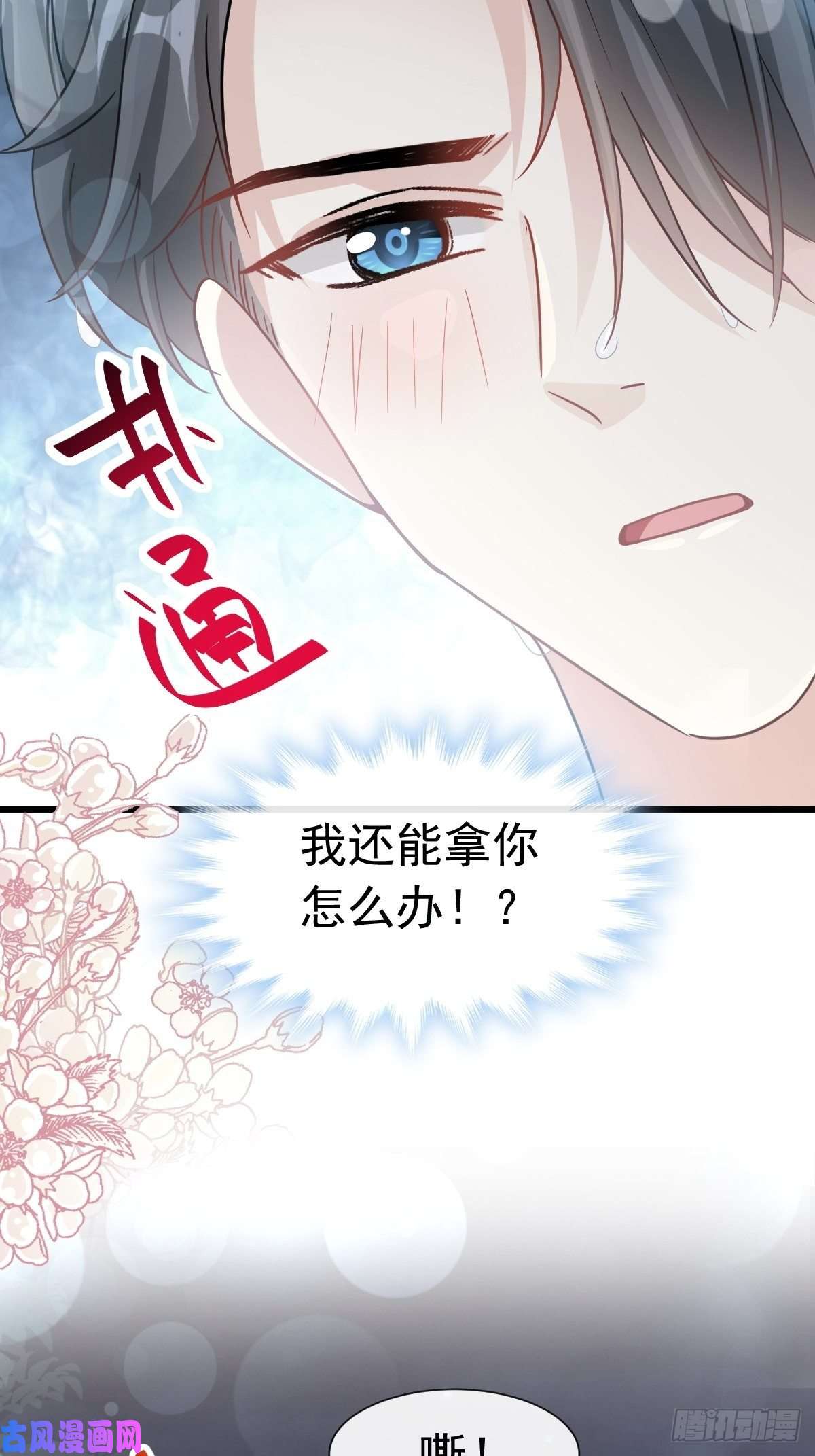 霸道总裁轻点爱066 永远不会背叛你
