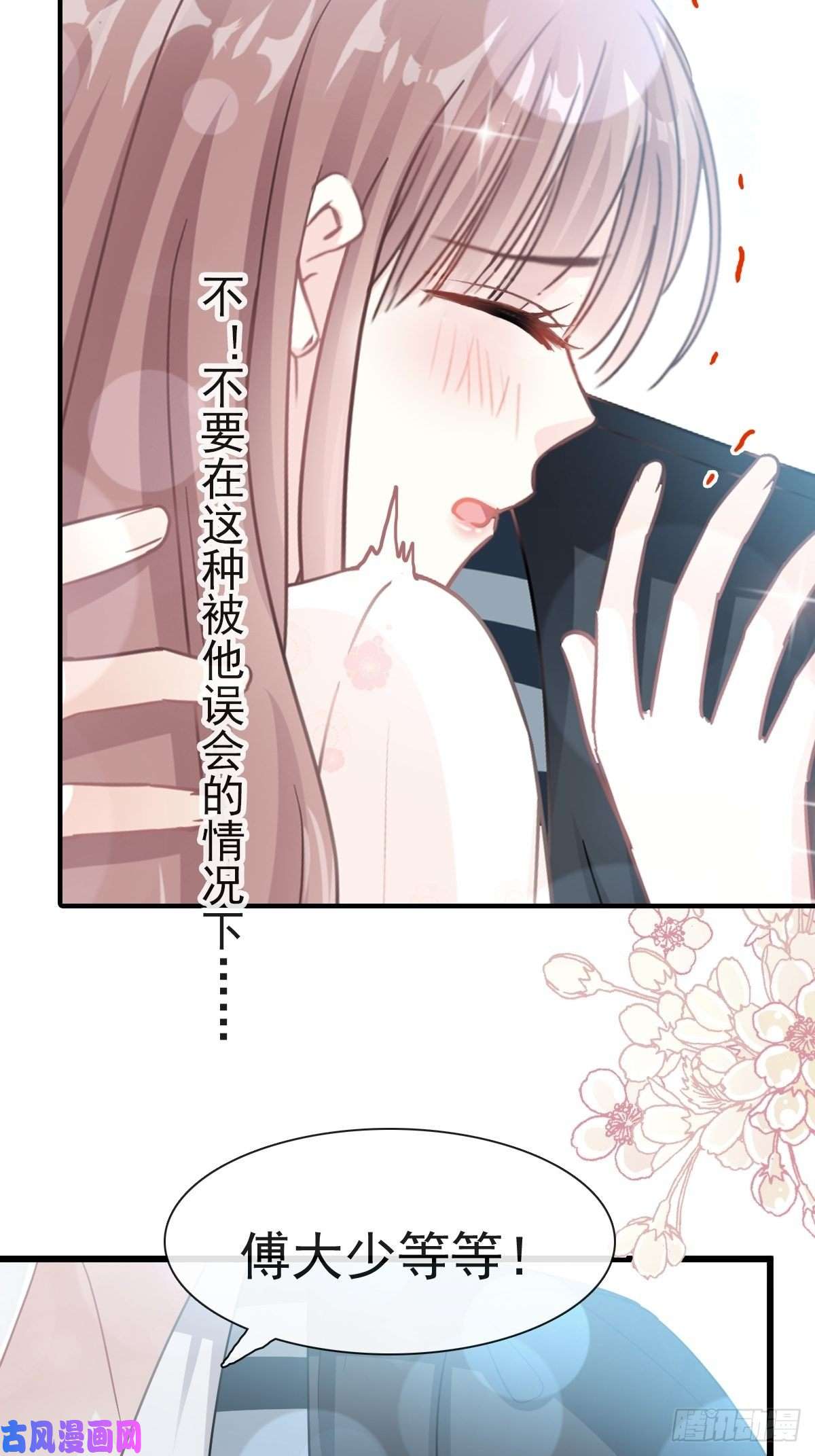 霸道总裁轻点爱069 瑟瑟的告白