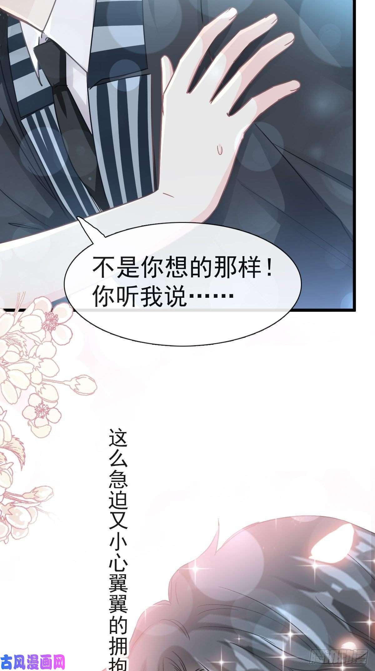 霸道总裁轻点爱069 瑟瑟的告白