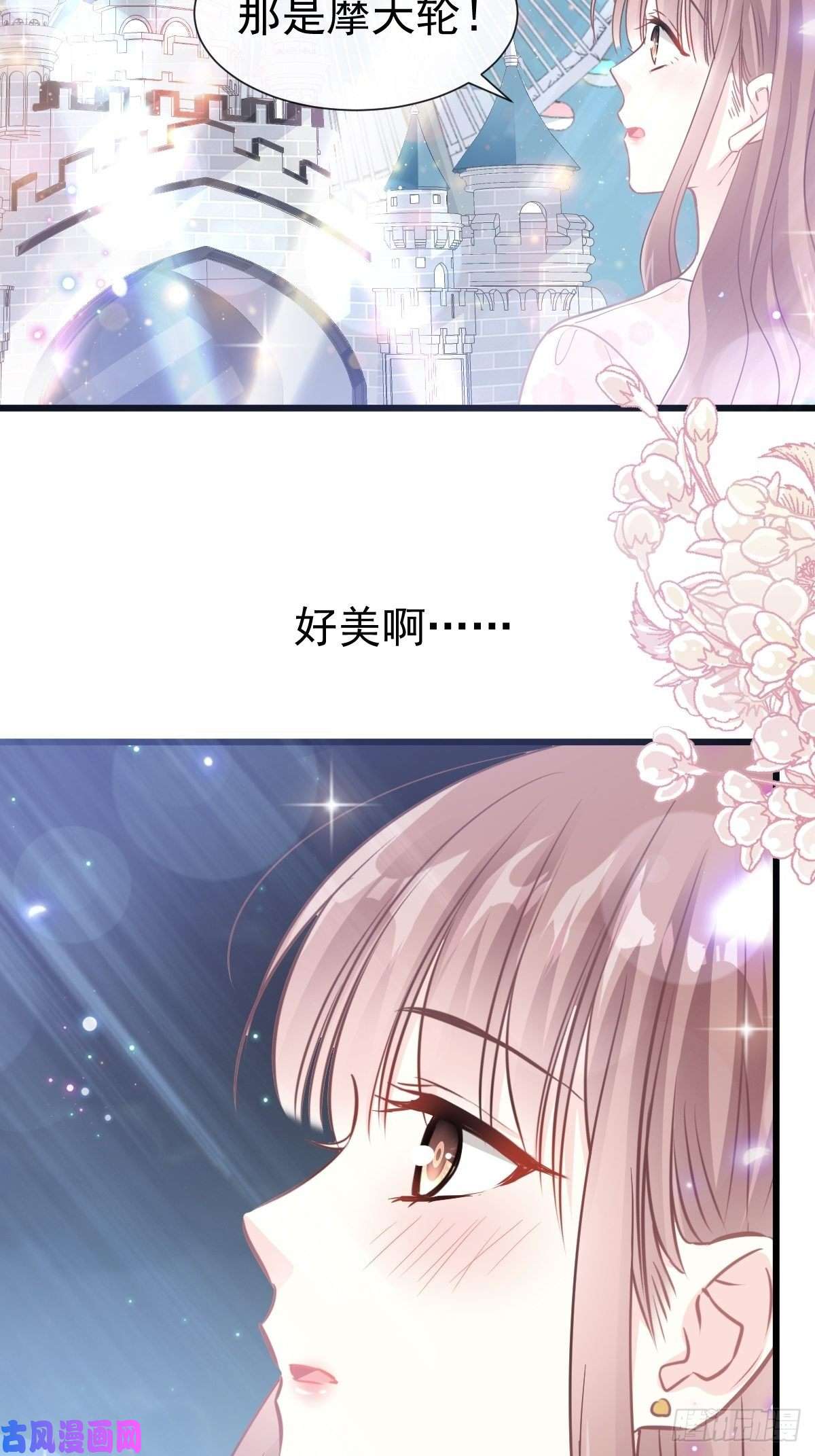 霸道总裁轻点爱079 甜蜜游园