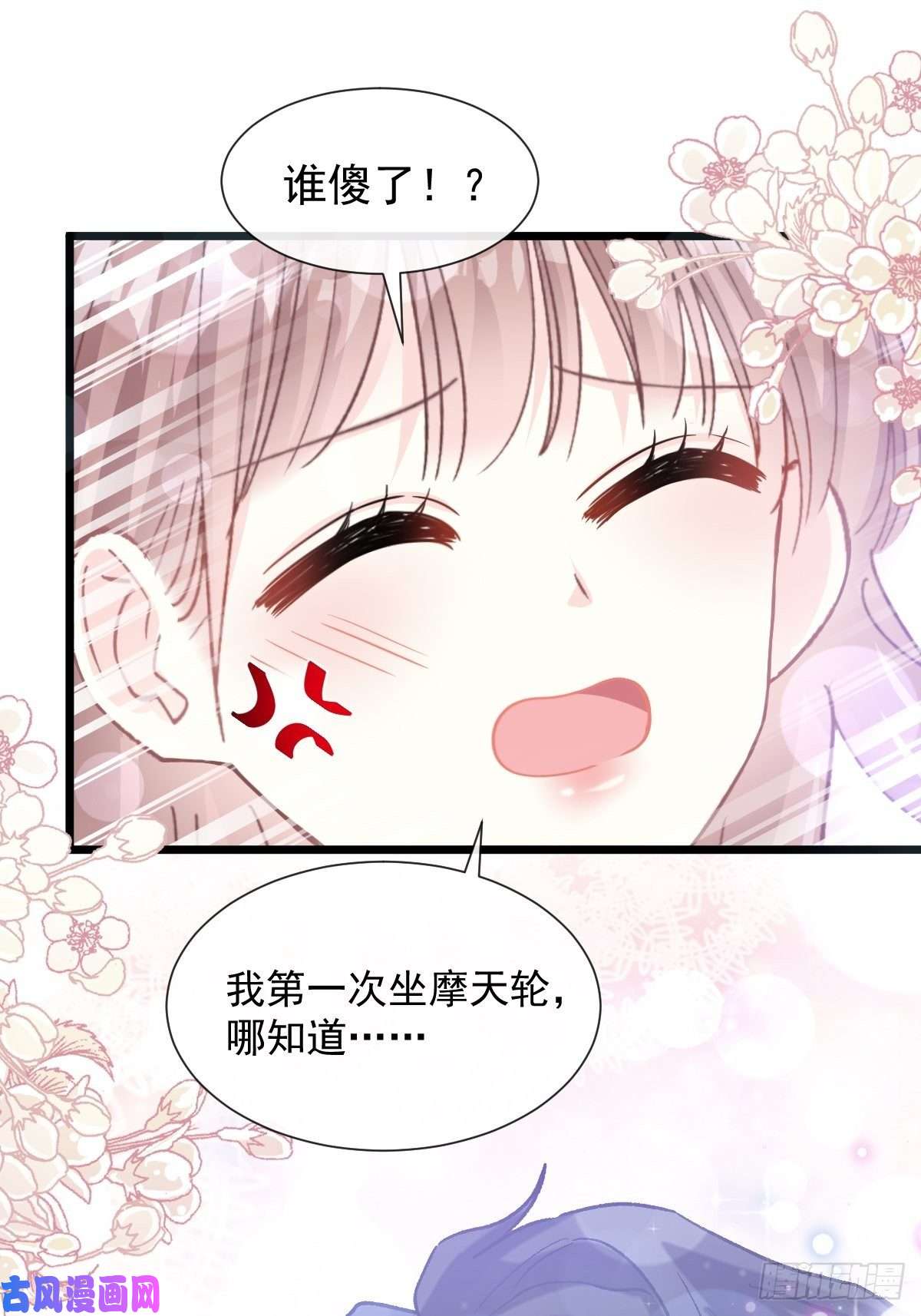 霸道总裁轻点爱080 摩天轮上的童话