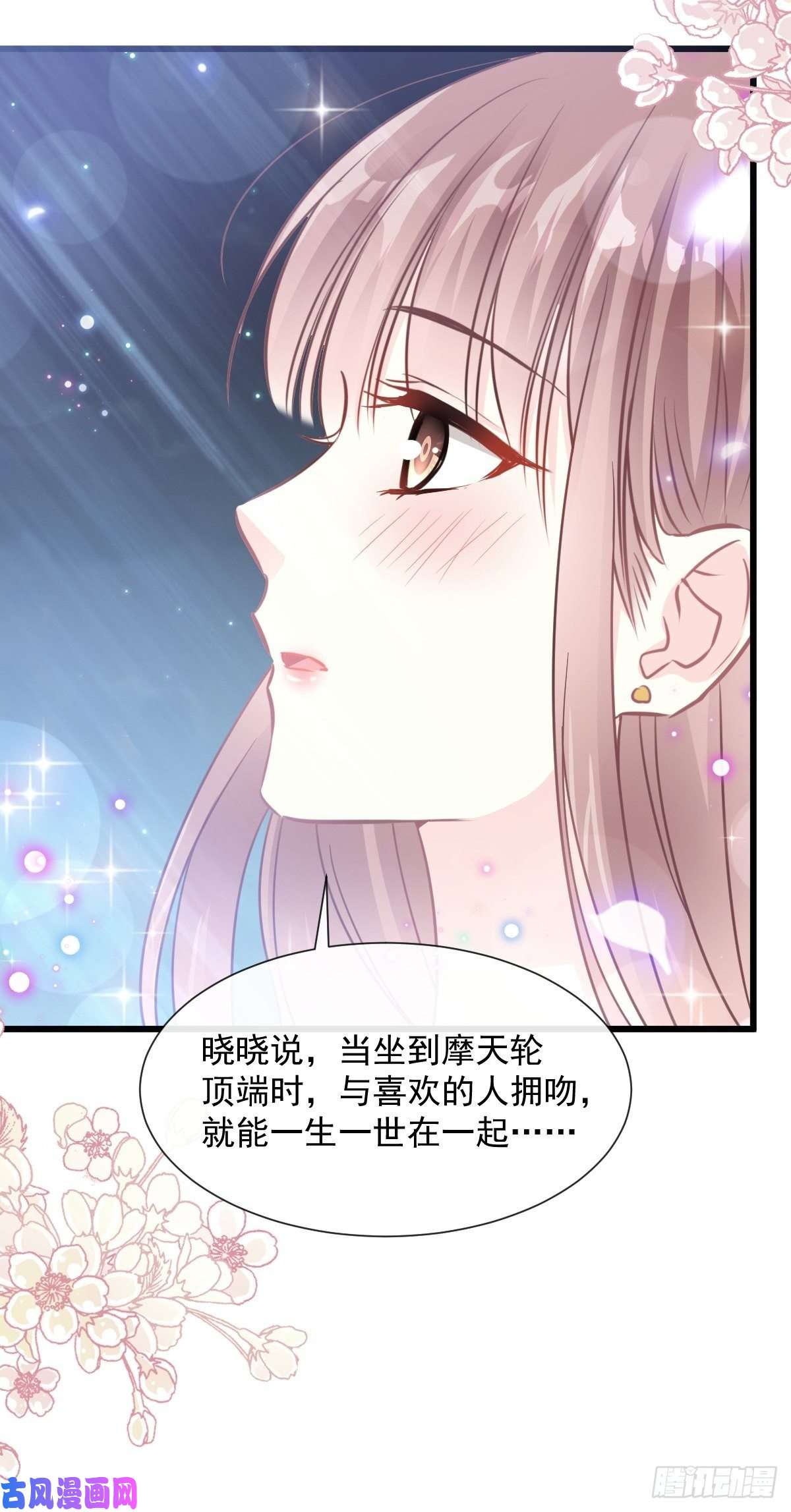 霸道总裁轻点爱080 摩天轮上的童话
