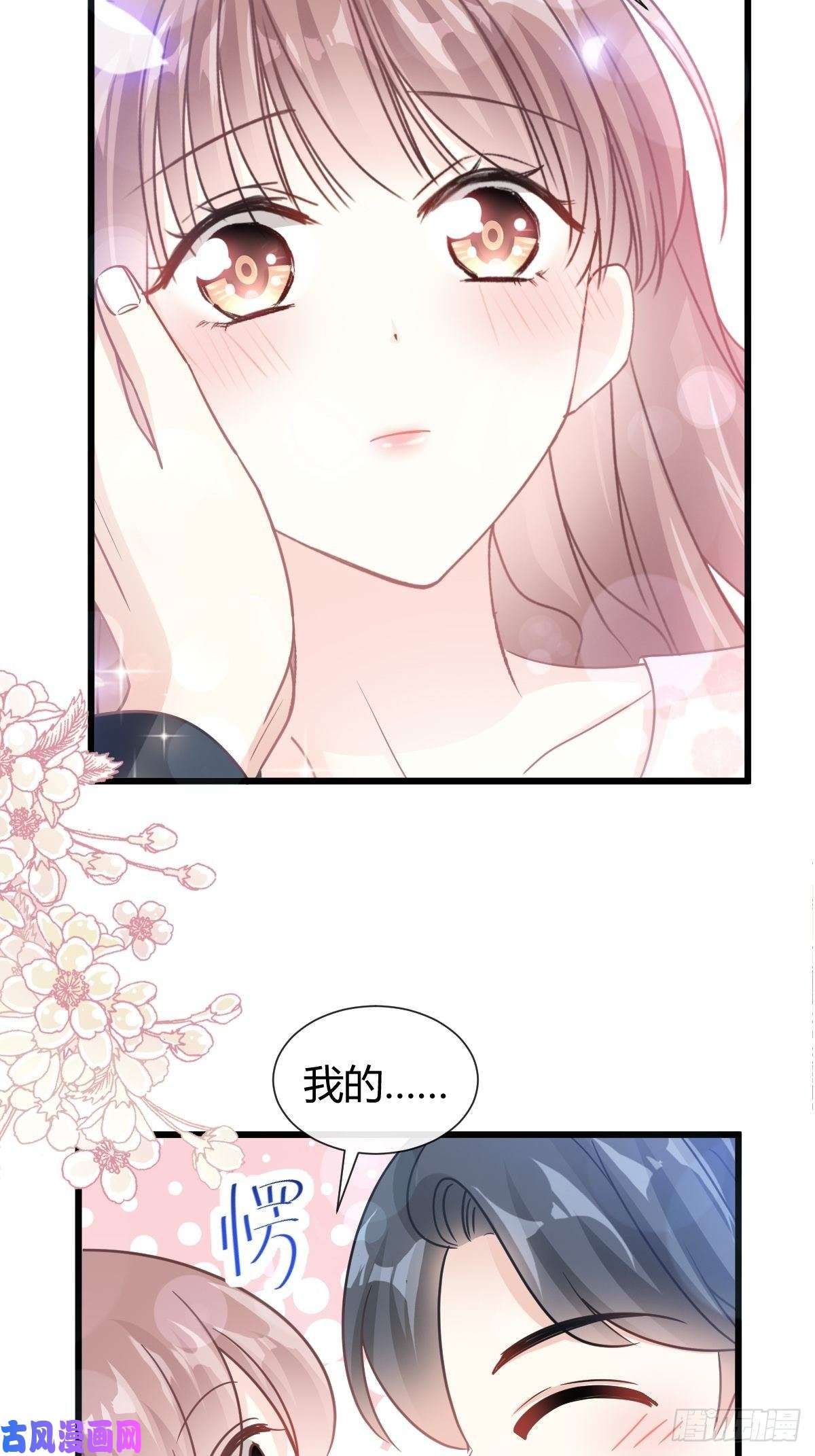 霸道总裁轻点爱080 摩天轮上的童话