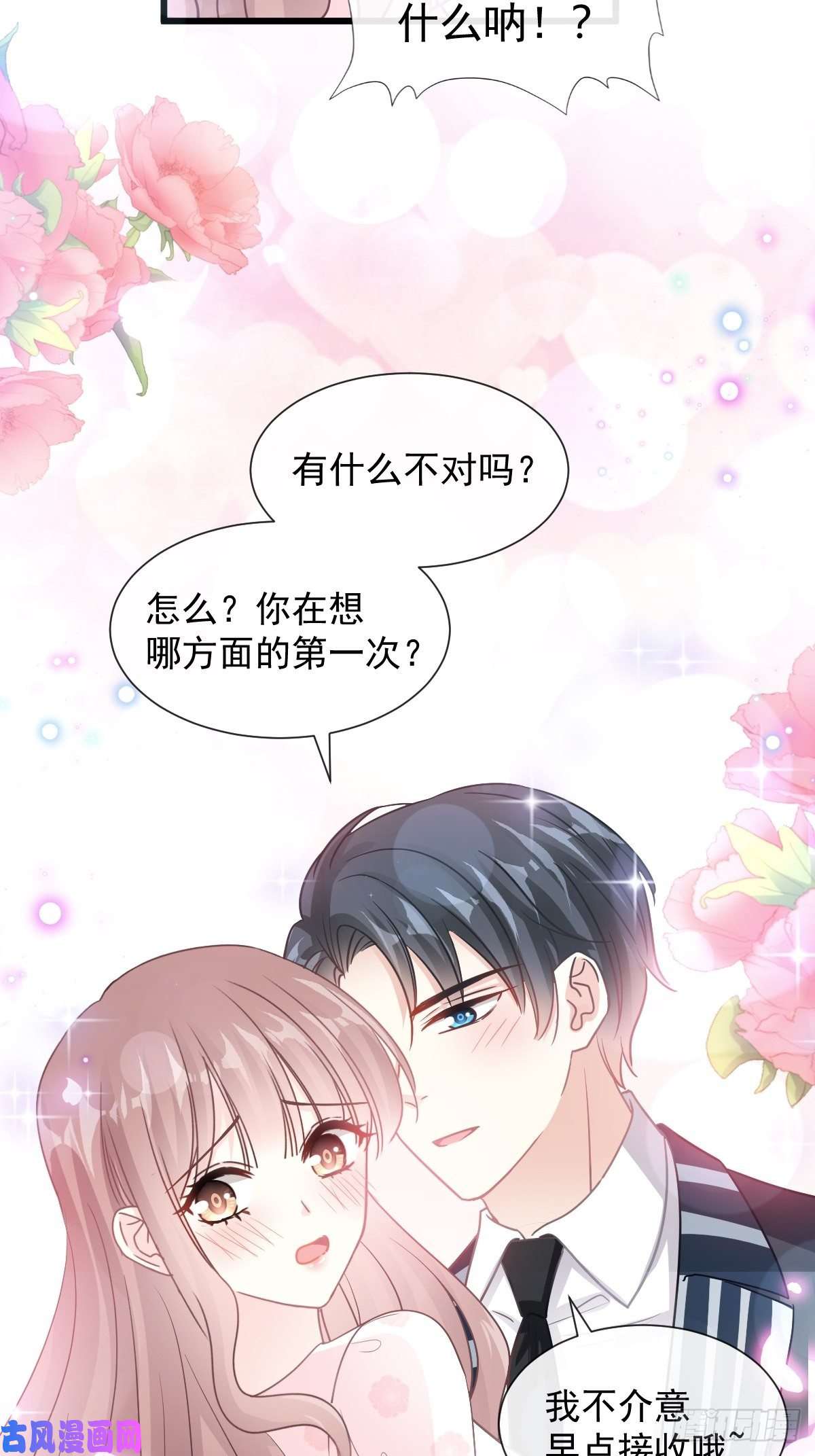 霸道总裁轻点爱080 摩天轮上的童话