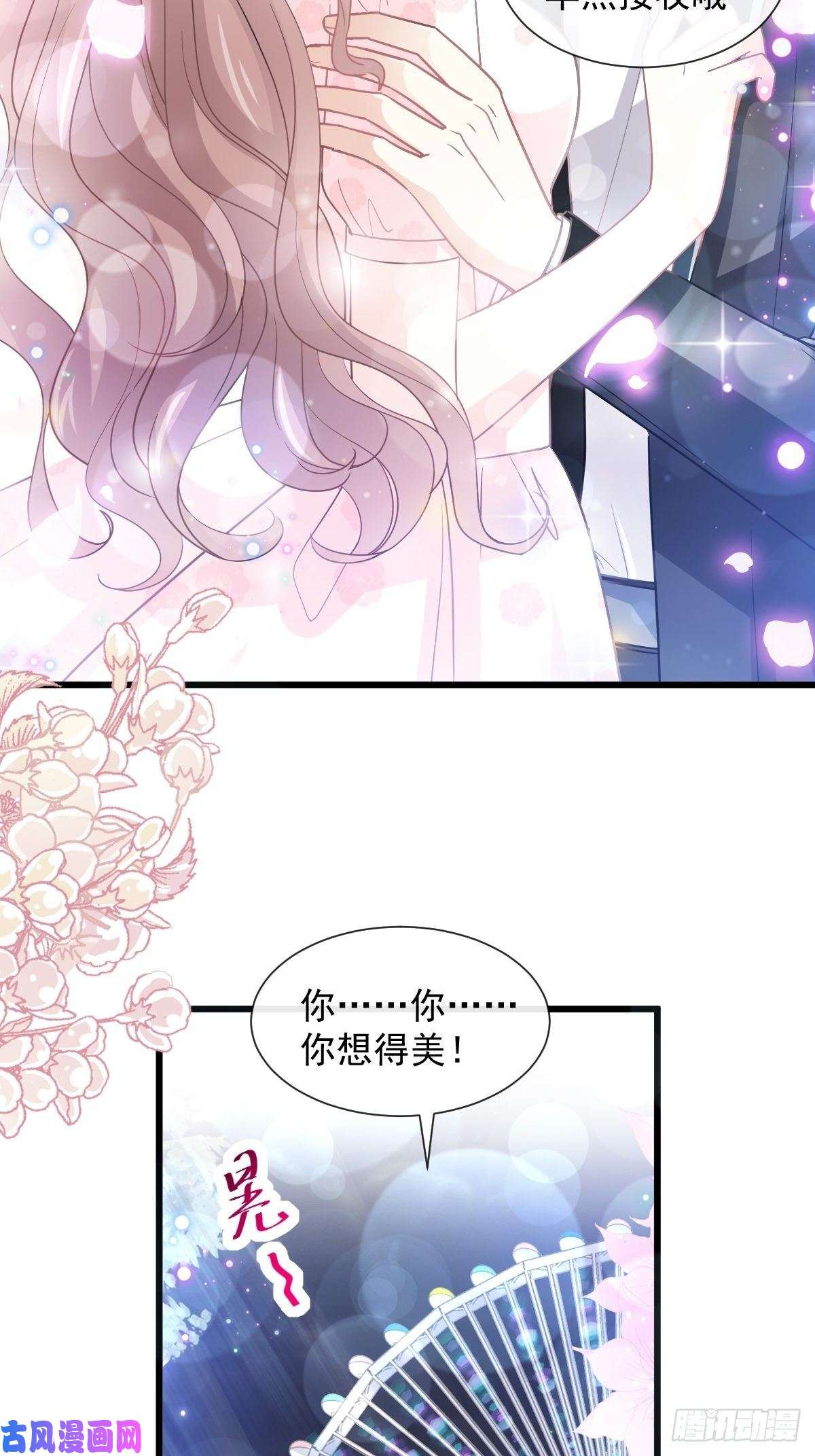 霸道总裁轻点爱080 摩天轮上的童话