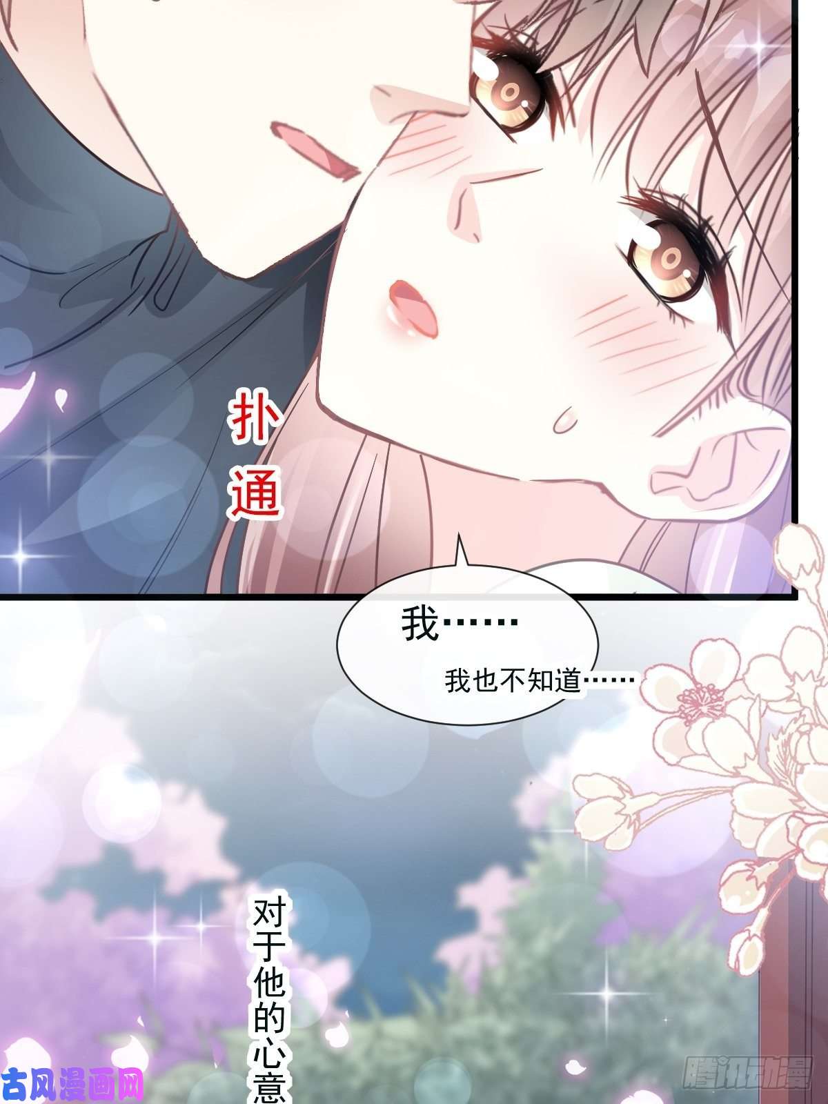 霸道总裁轻点爱085 “爱”的倒计时