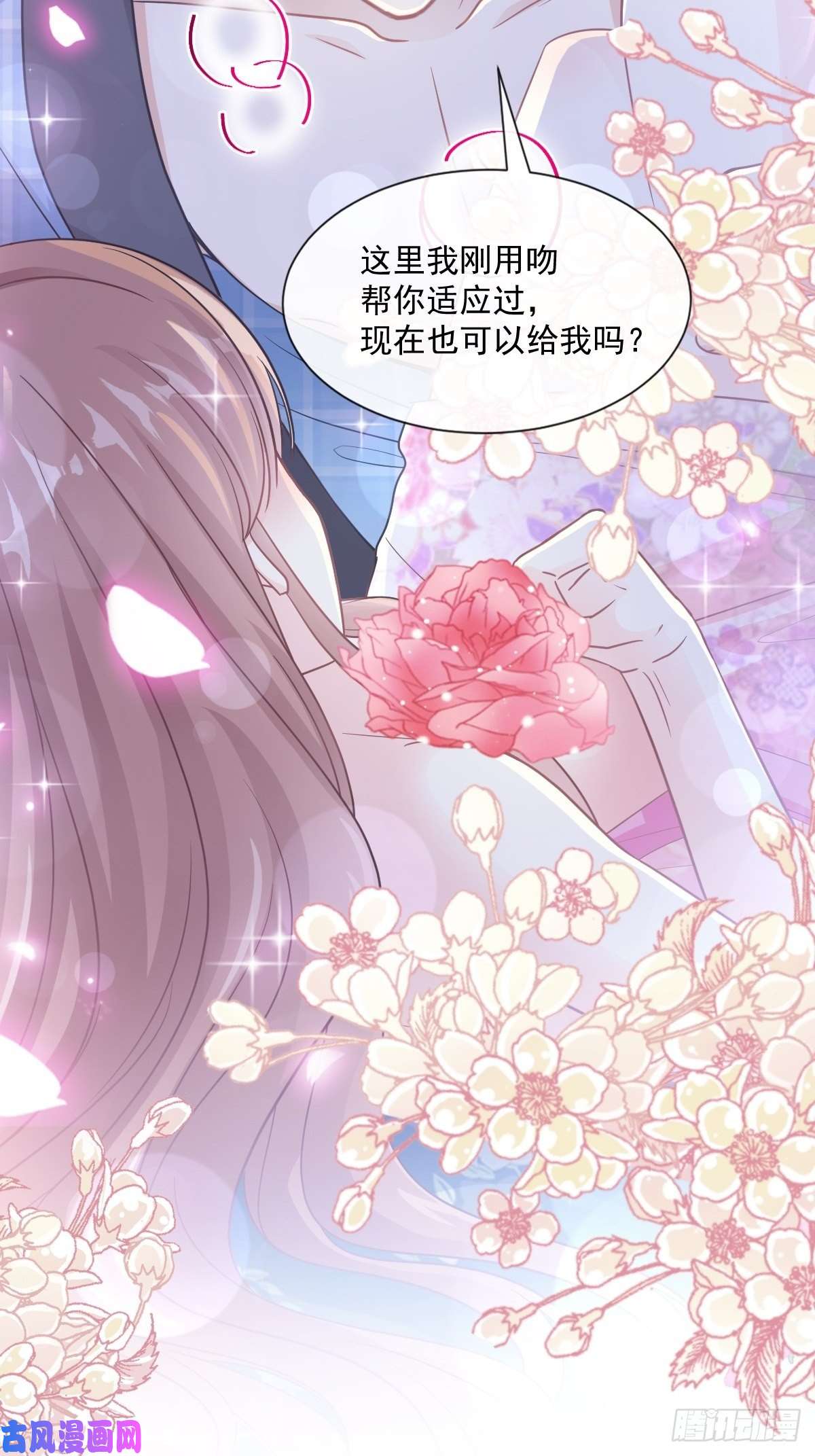 霸道总裁轻点爱088 我是你的生日礼物