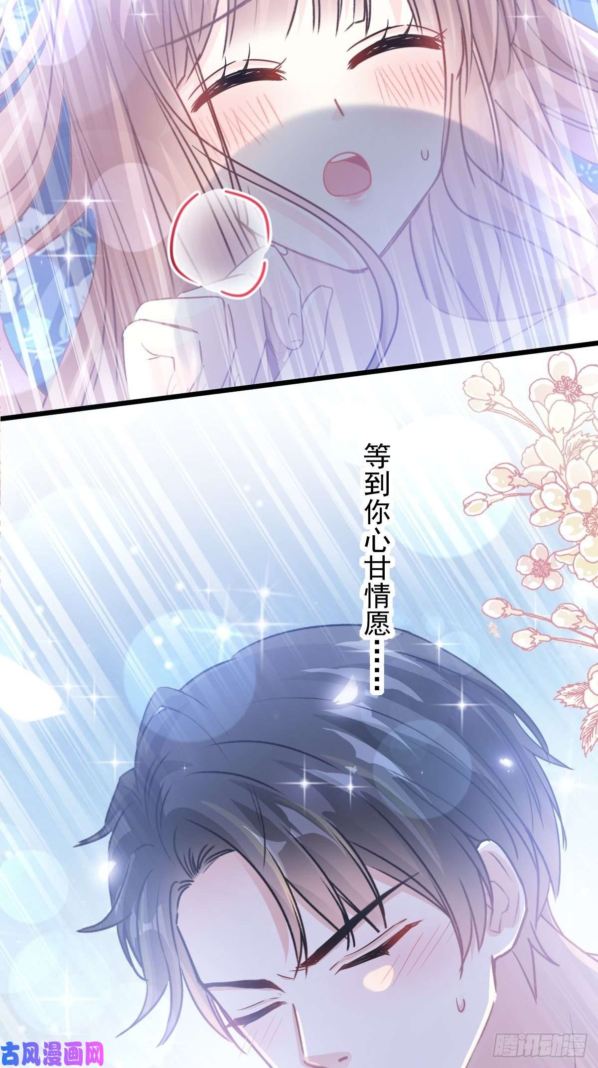 霸道总裁轻点爱088 我是你的生日礼物