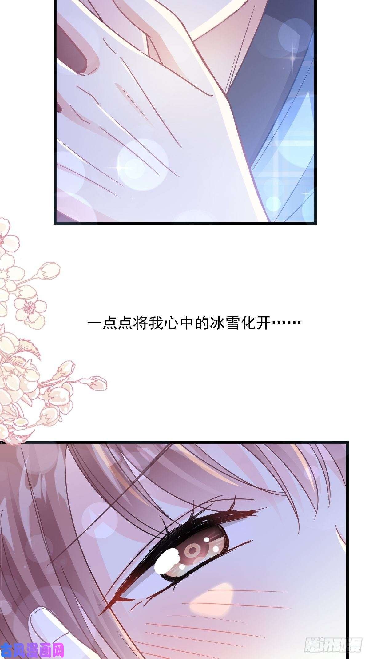霸道总裁轻点爱088 我是你的生日礼物