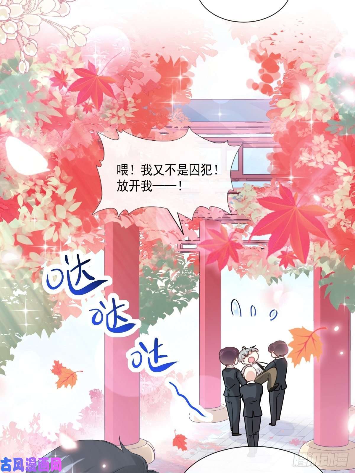 霸道总裁轻点爱096 红叶林幽会