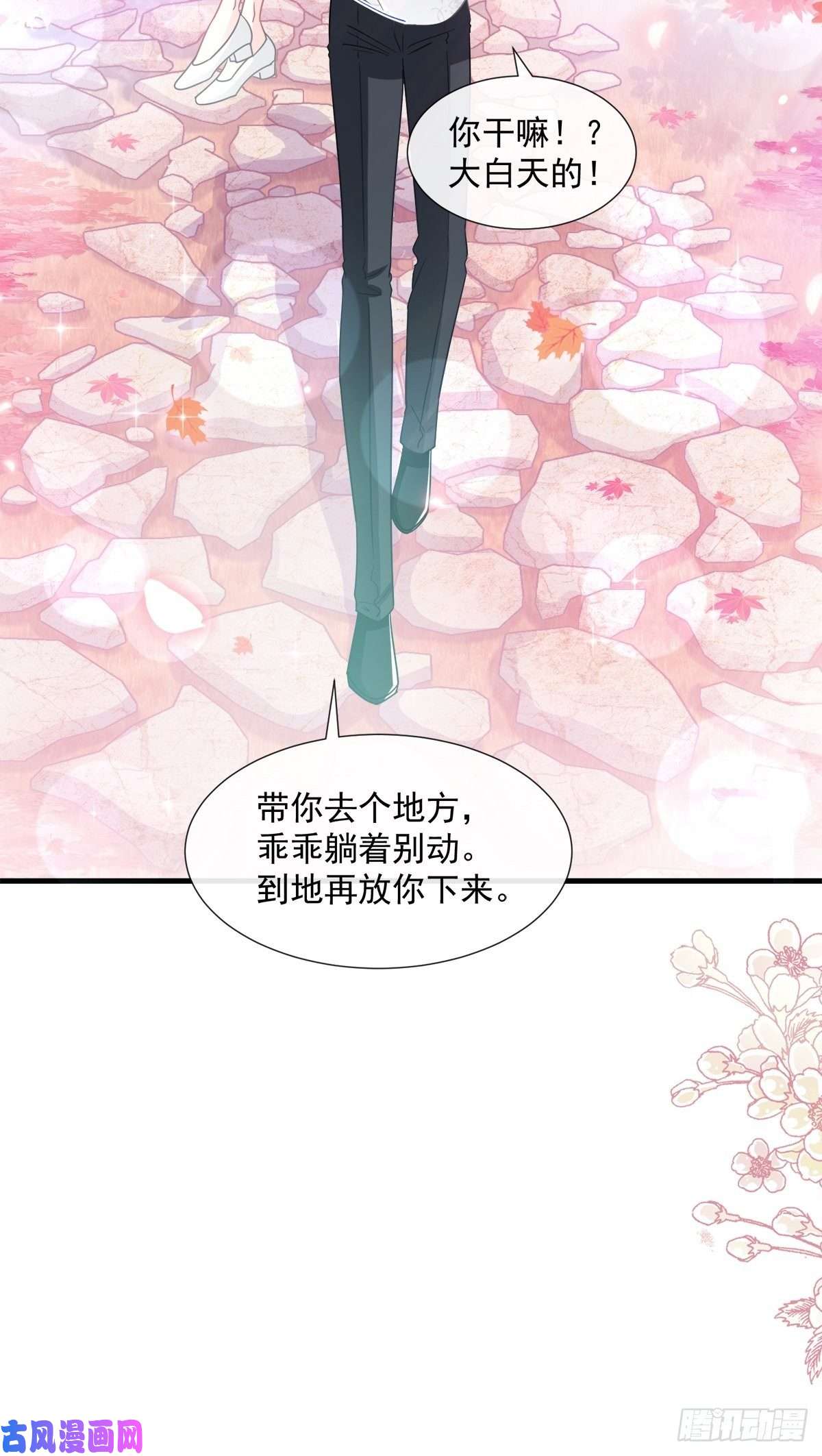 霸道总裁轻点爱096 红叶林幽会