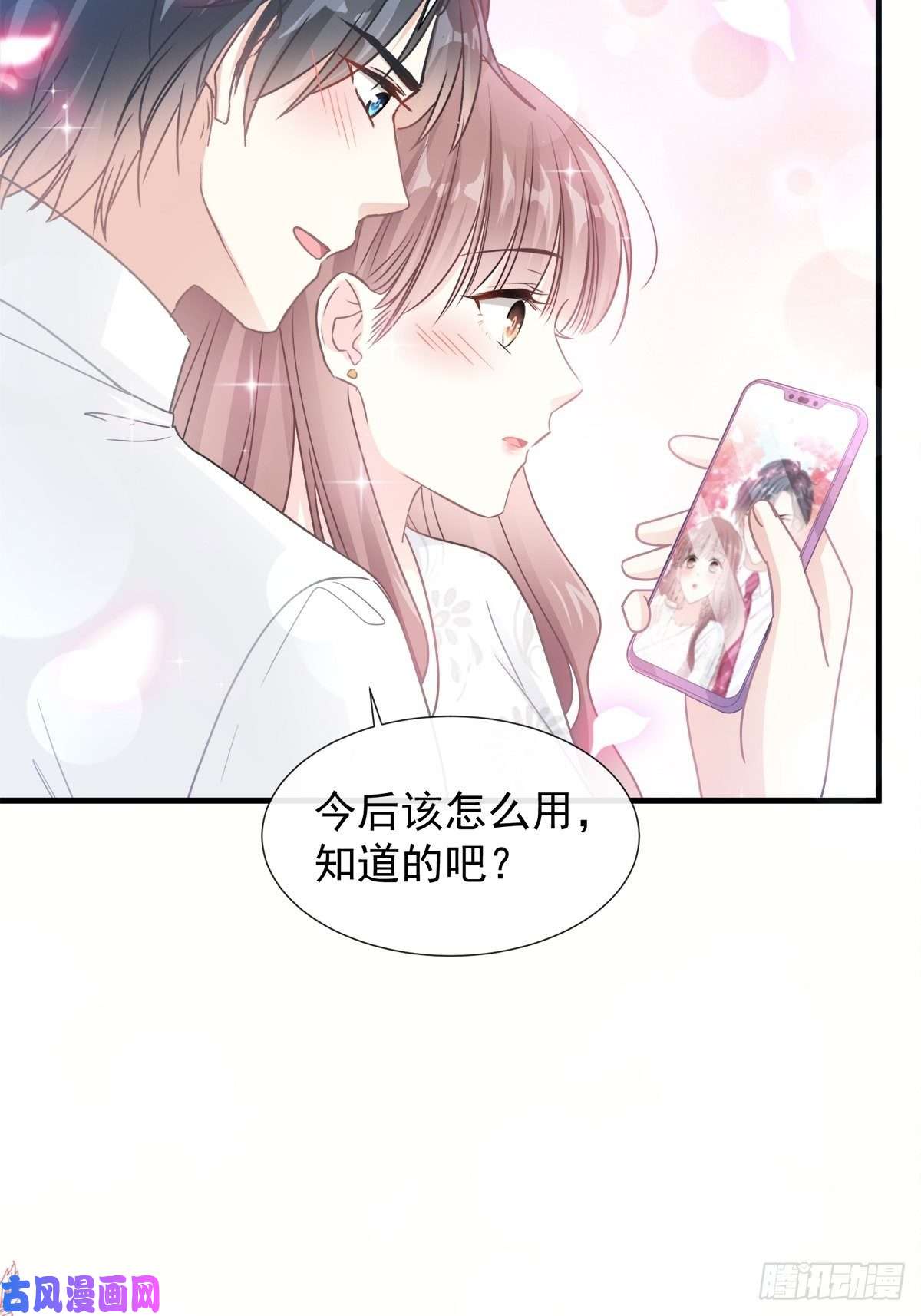 霸道总裁轻点爱096 红叶林幽会
