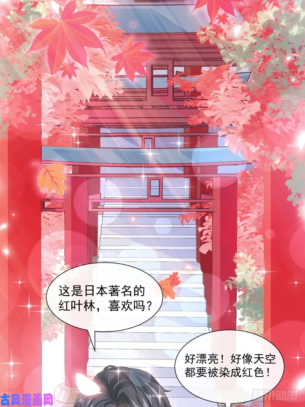 霸道总裁轻点爱096 红叶林幽会