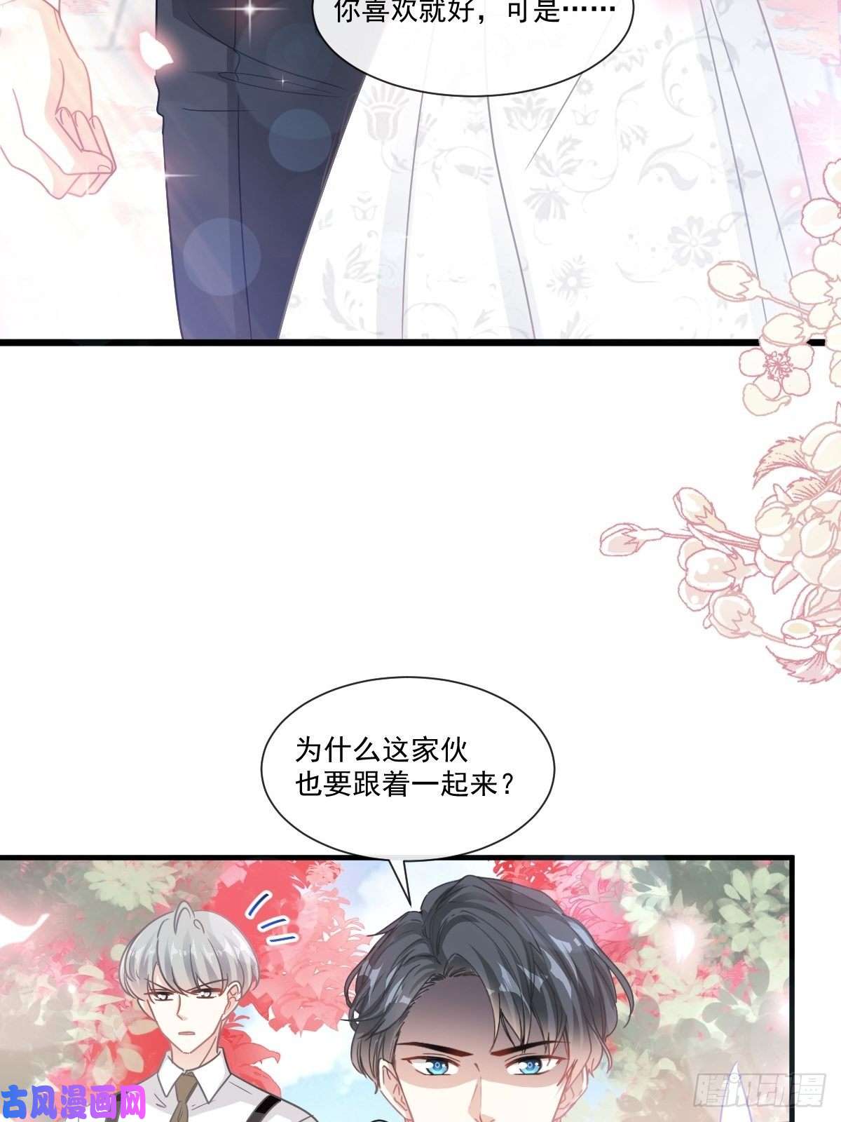 霸道总裁轻点爱096 红叶林幽会