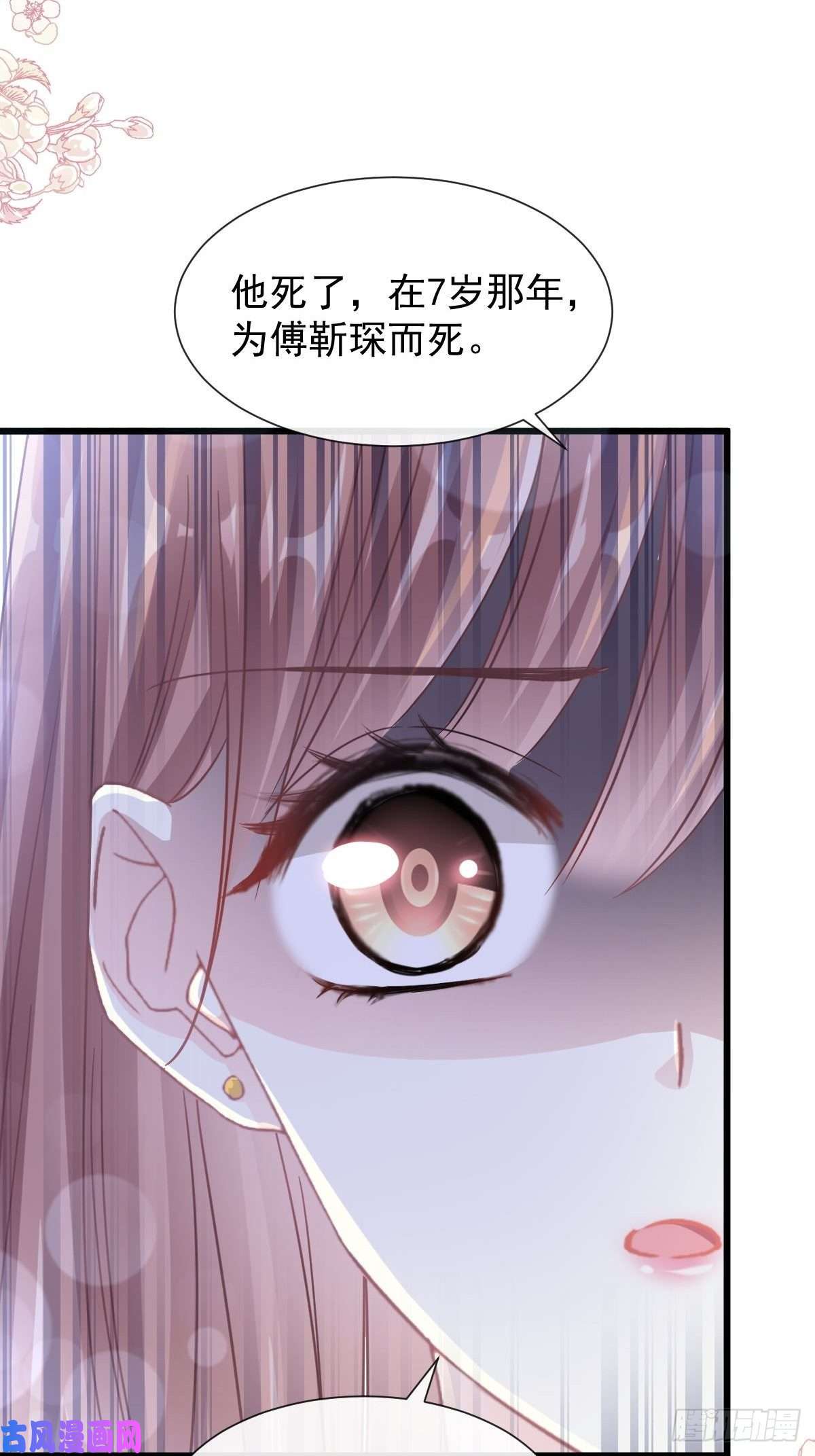 霸道总裁轻点爱107 傅靳琛的过去