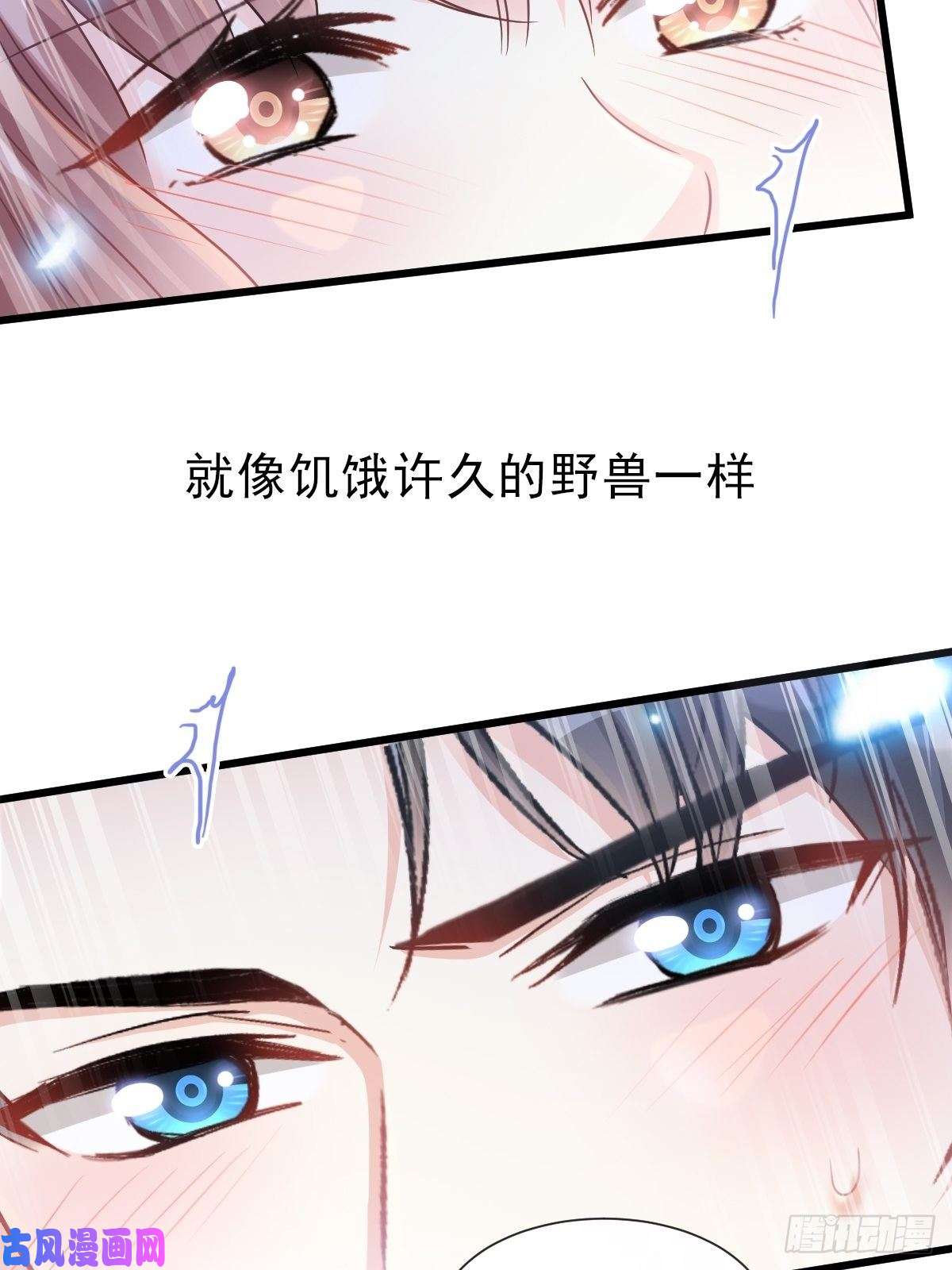 霸道总裁轻点爱109 饥饿的野兽