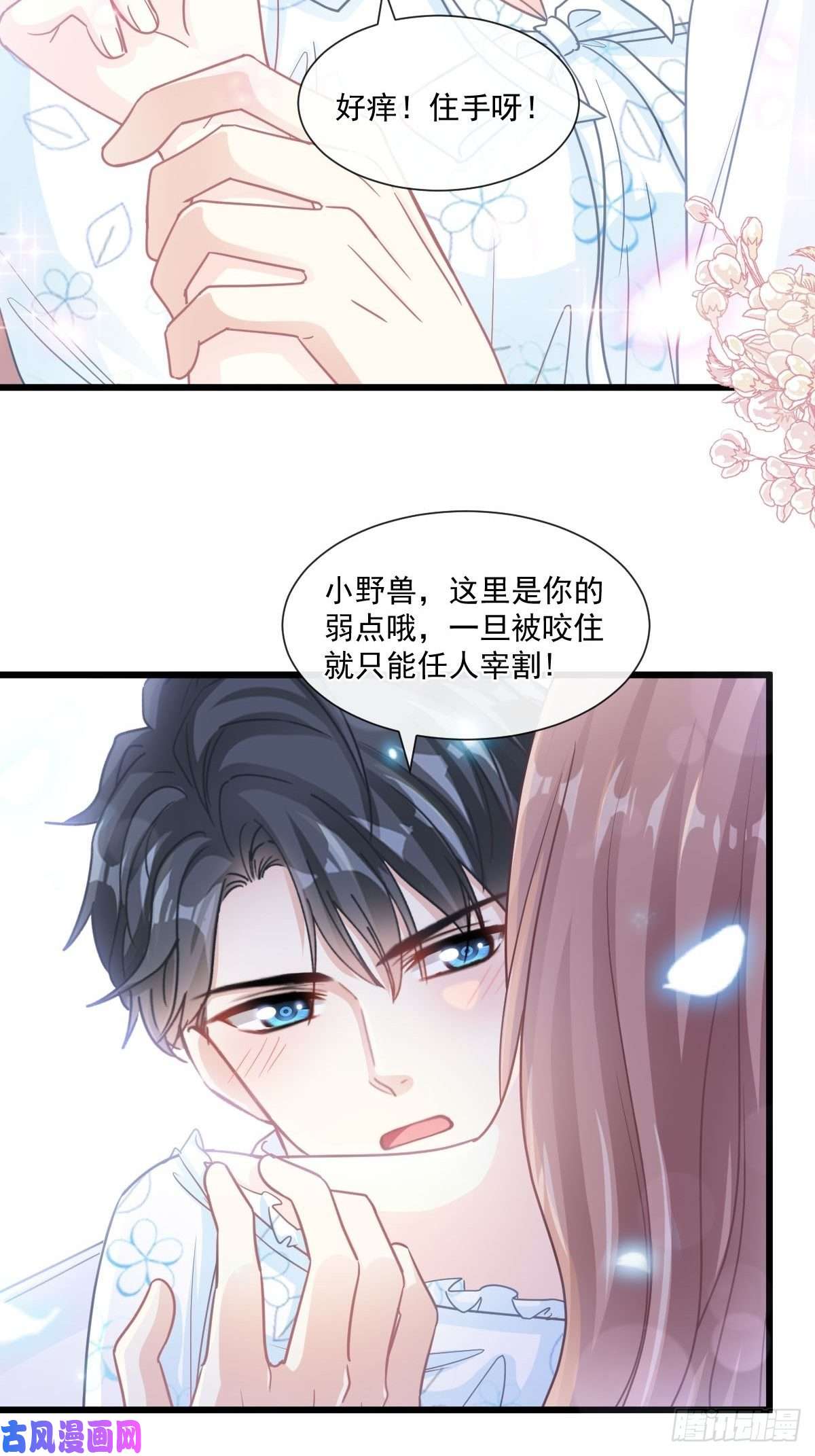 霸道总裁轻点爱110 只属于我