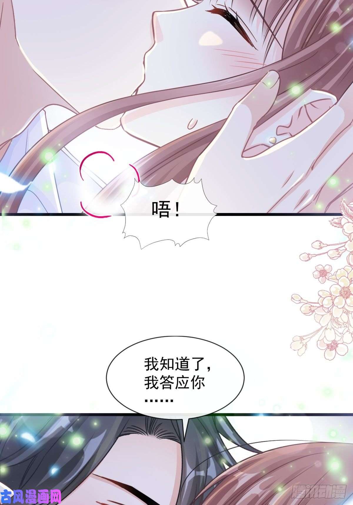 霸道总裁轻点爱111 我也想要你