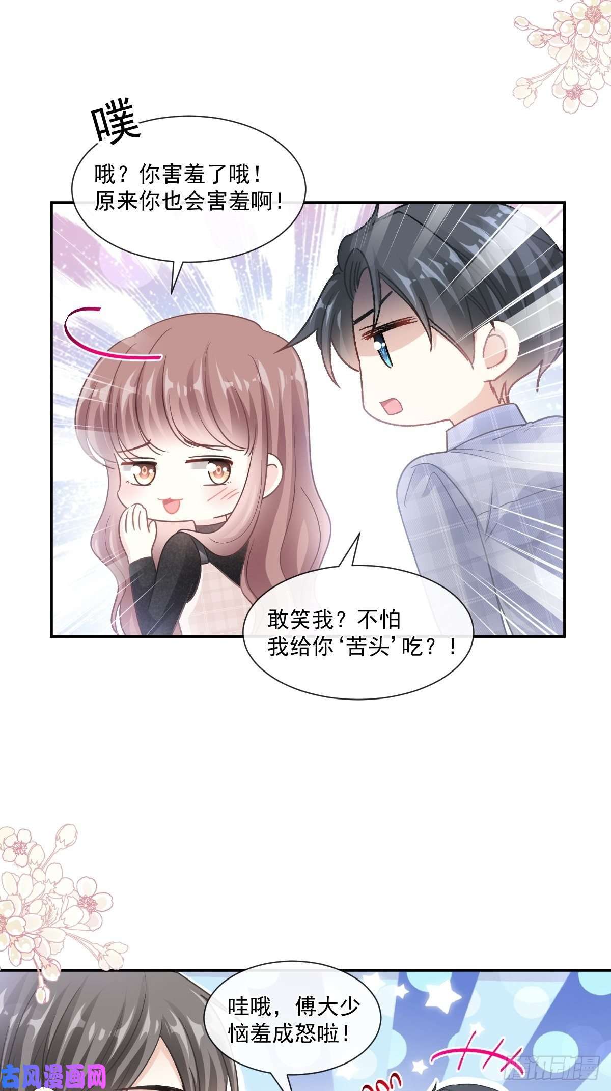 霸道总裁轻点爱117 嫁给我吧
