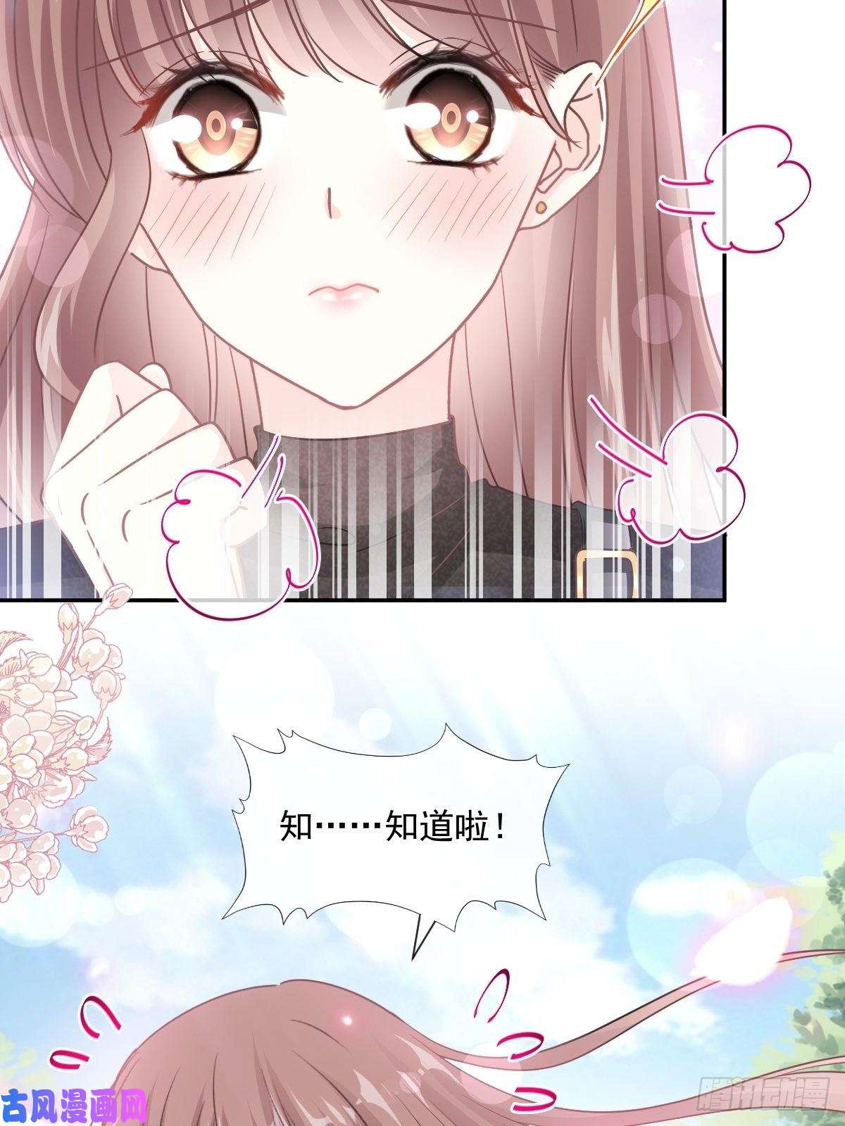 霸道总裁轻点爱118 守护妻子