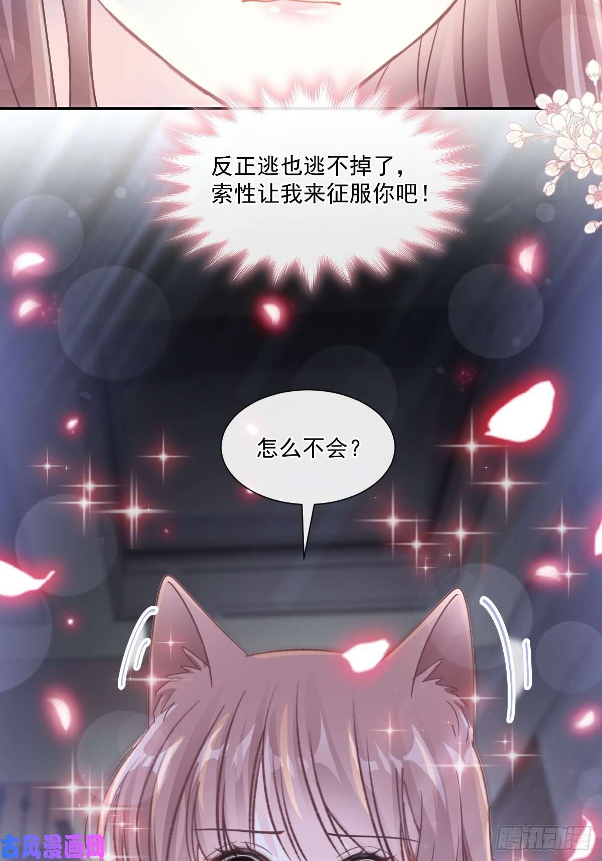 霸道总裁轻点爱125 一决胜负