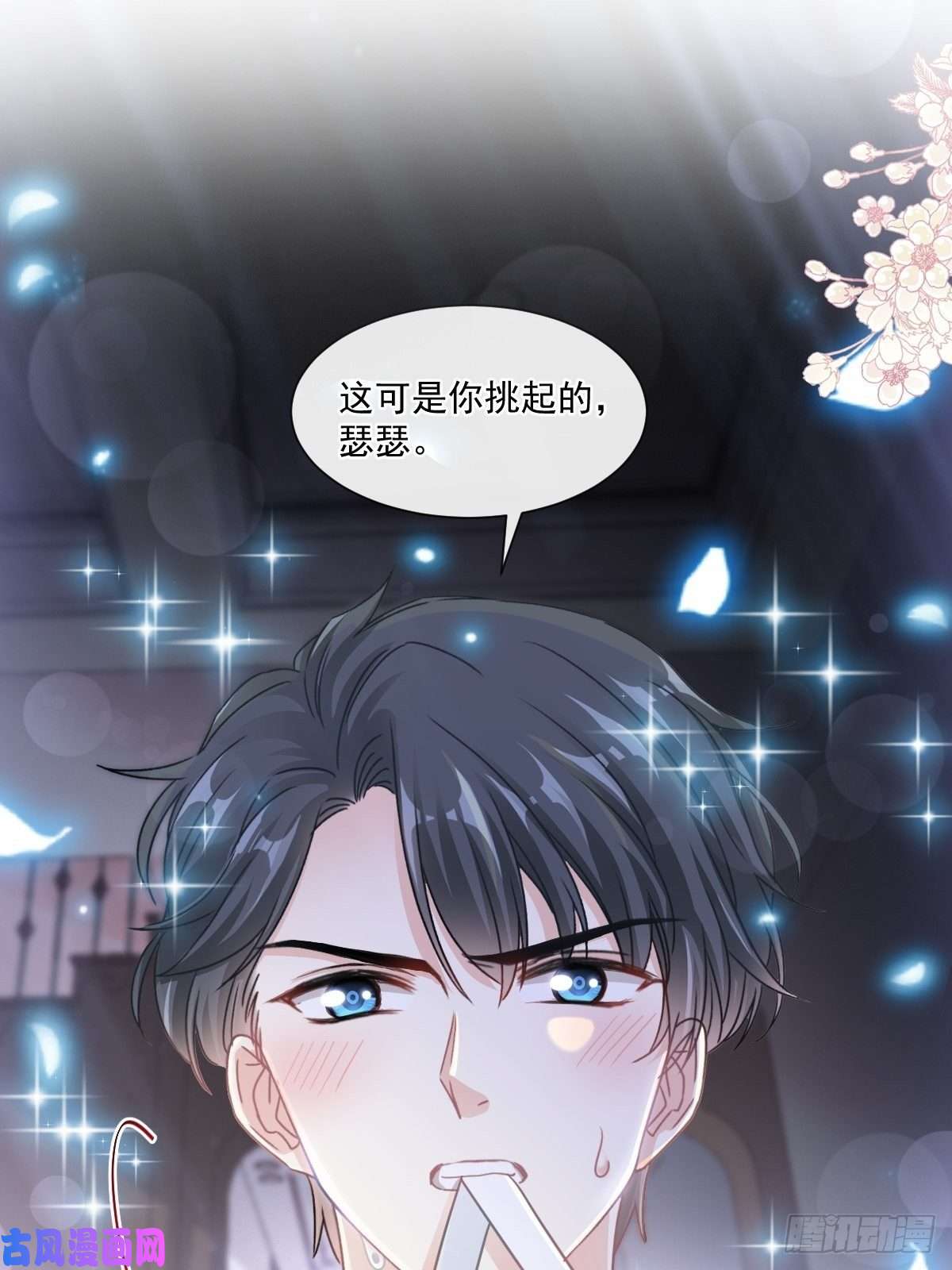 霸道总裁轻点爱126 新婚之夜