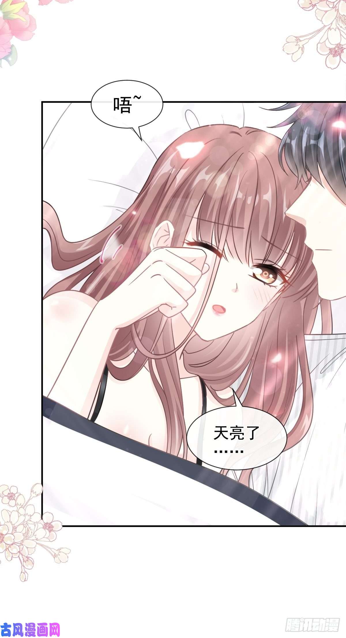 霸道总裁轻点爱126 新婚之夜