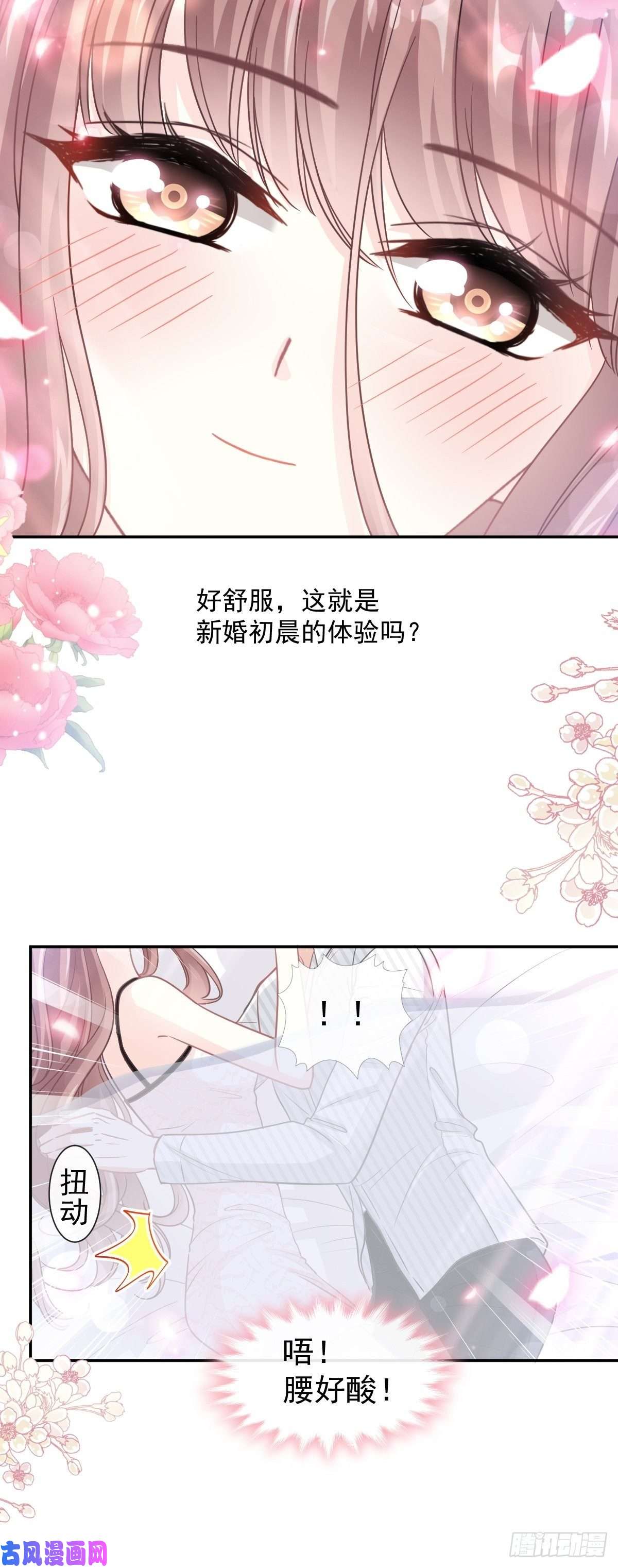 霸道总裁轻点爱126 新婚之夜