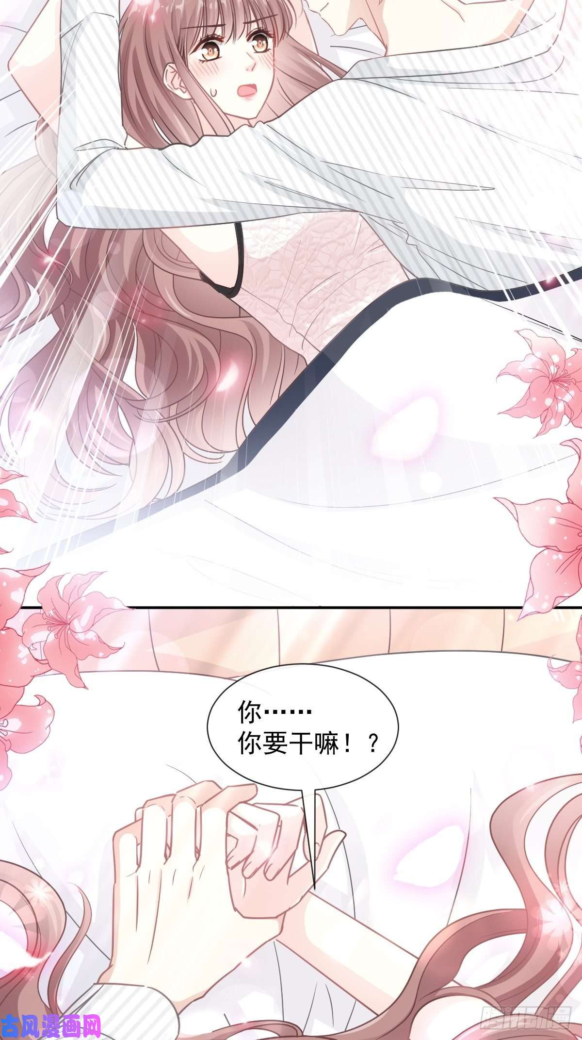 霸道总裁轻点爱126 新婚之夜