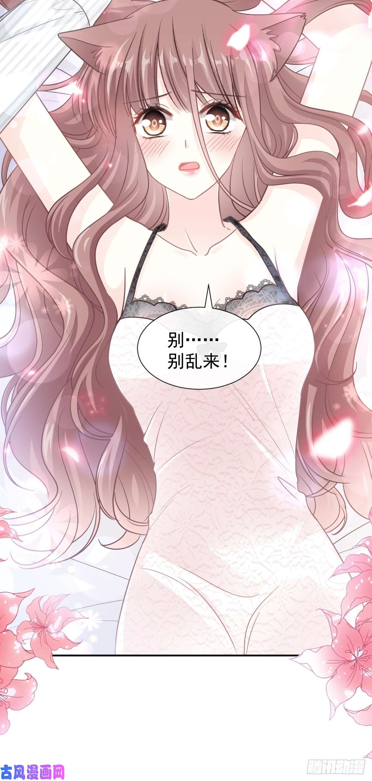 霸道总裁轻点爱126 新婚之夜