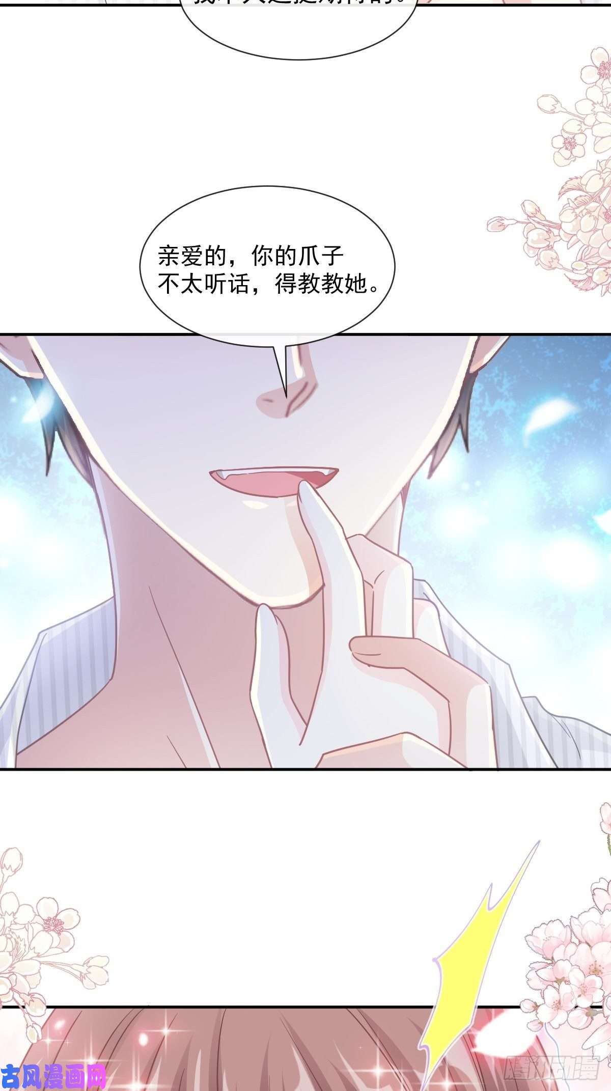 霸道总裁轻点爱126 新婚之夜