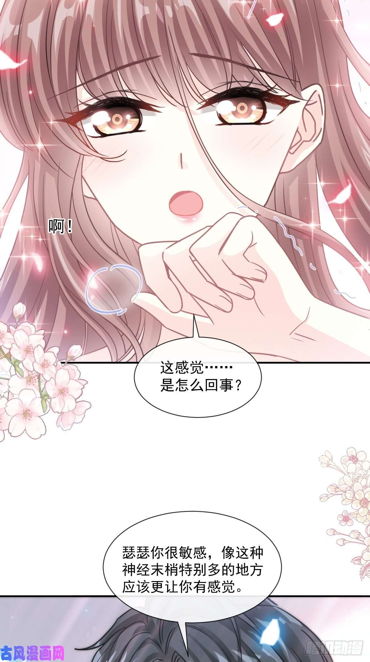 霸道总裁轻点爱126 新婚之夜