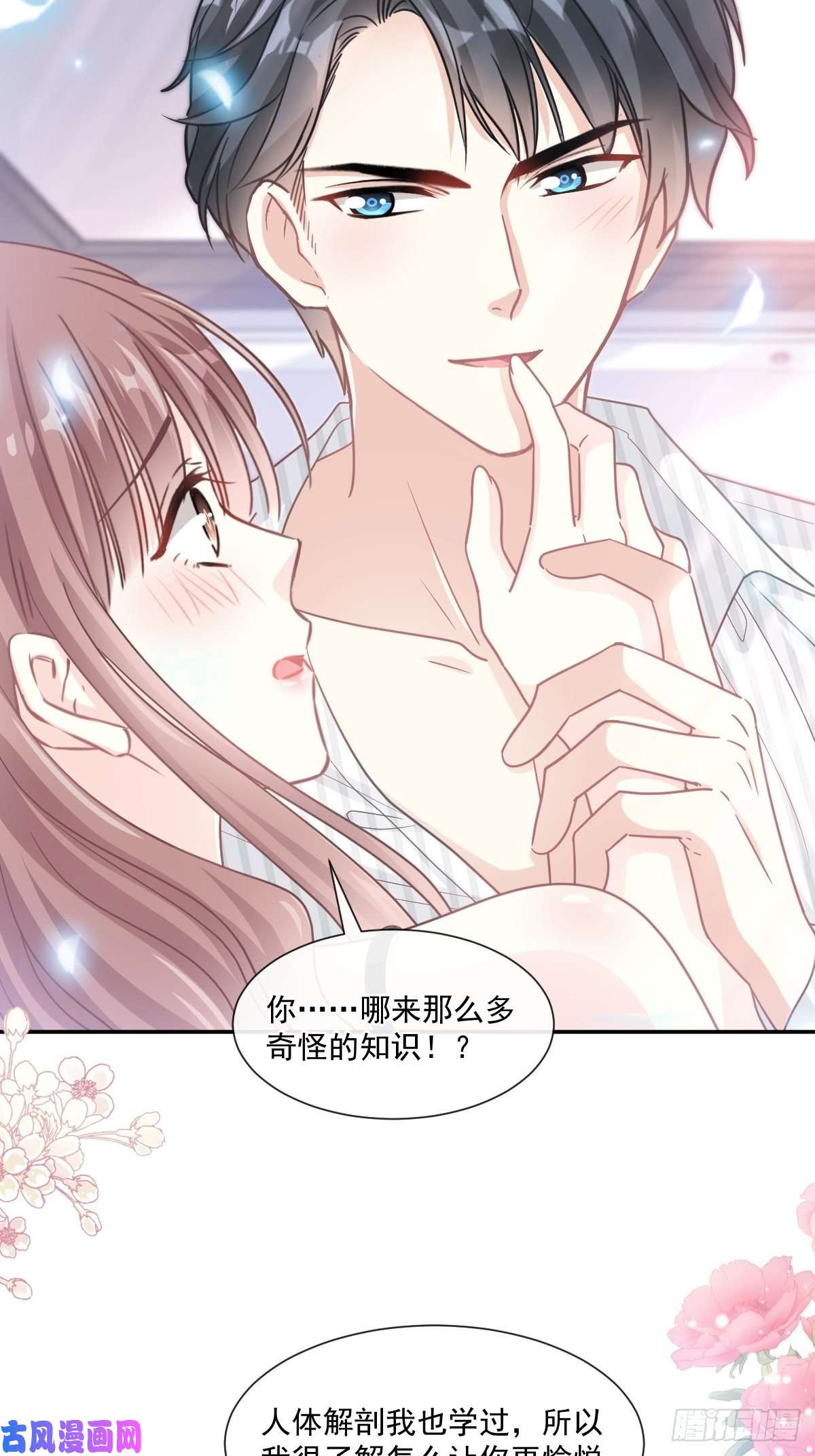 霸道总裁轻点爱126 新婚之夜