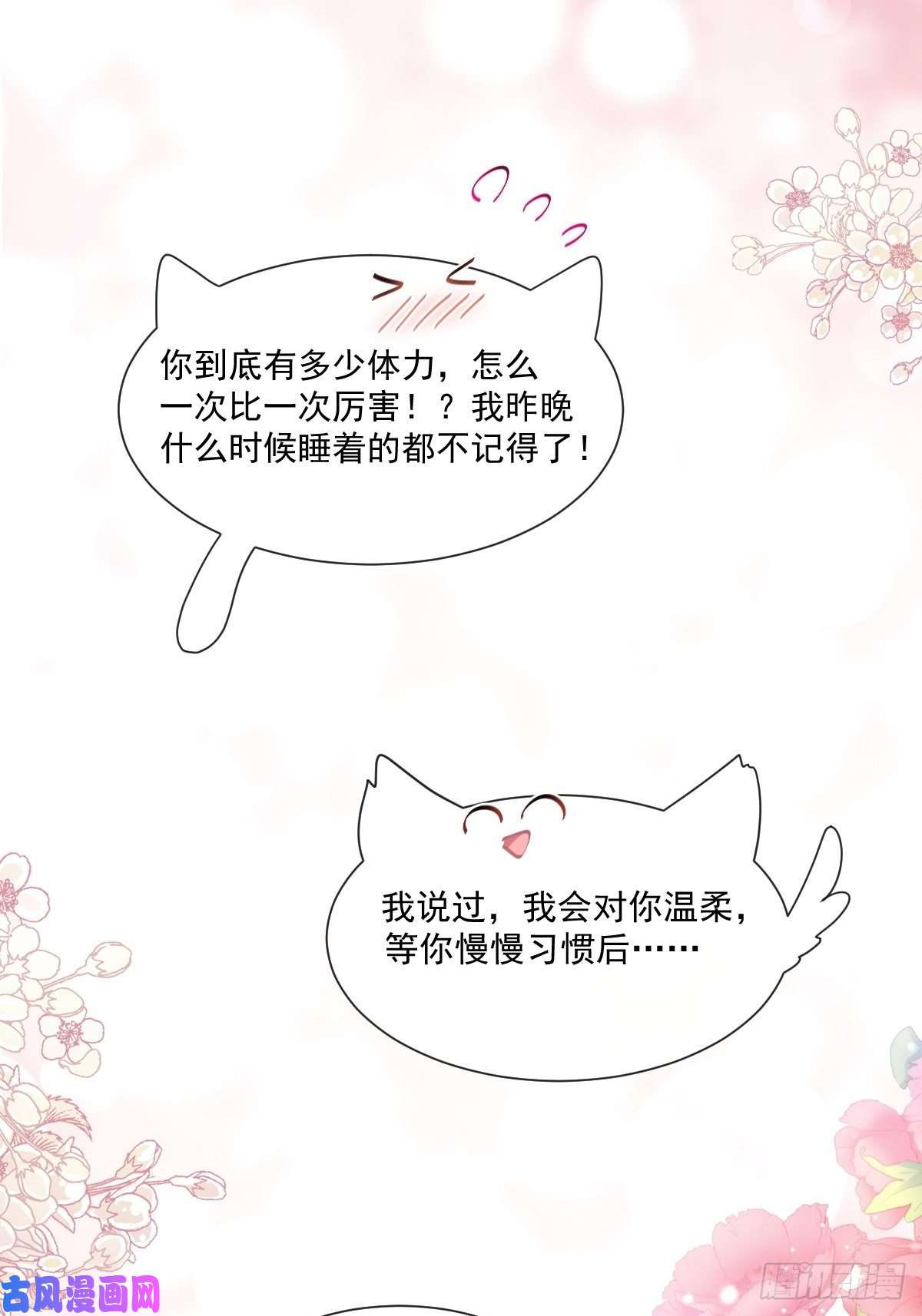霸道总裁轻点爱126 新婚之夜