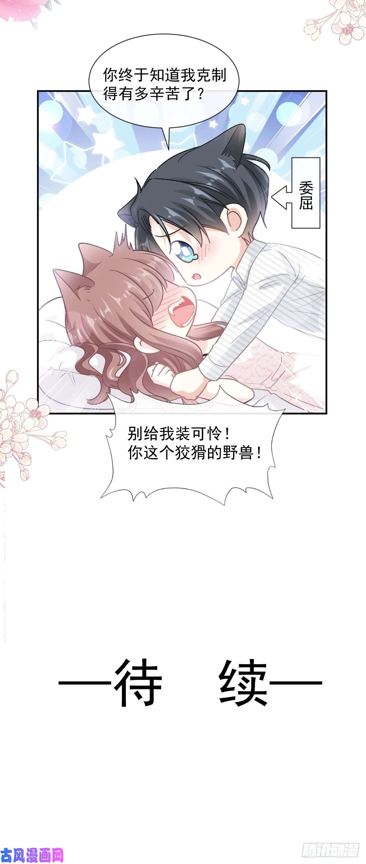 霸道总裁轻点爱126 新婚之夜
