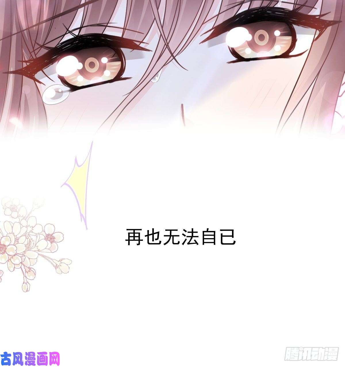 霸道总裁轻点爱126 新婚之夜