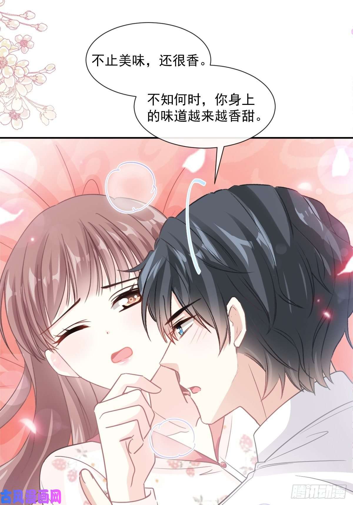 霸道总裁轻点爱132 温暖的感觉